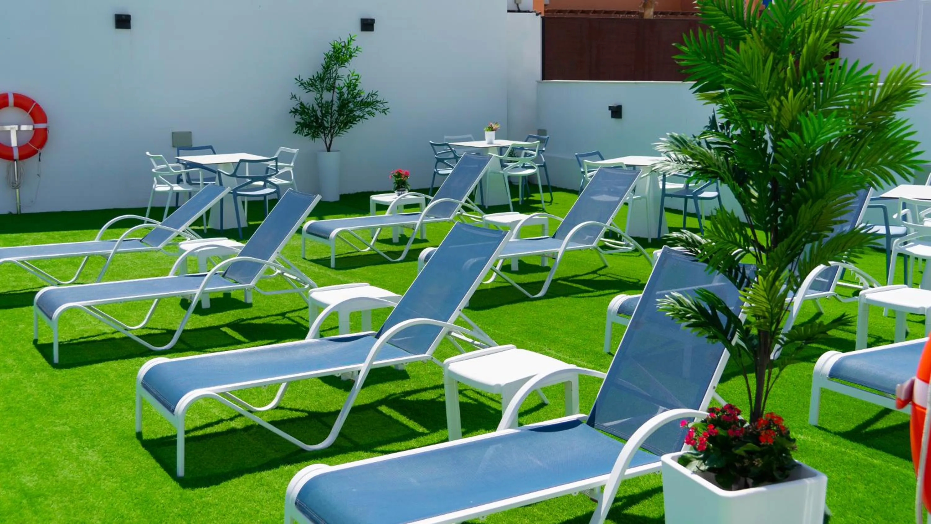 Garden in Hotel Playa de la Plata