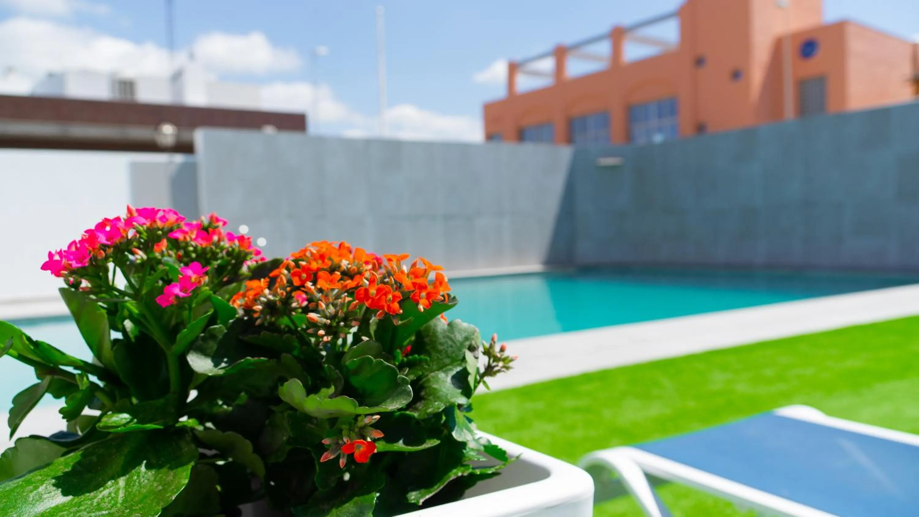 Pool view in Hotel Playa de la Plata