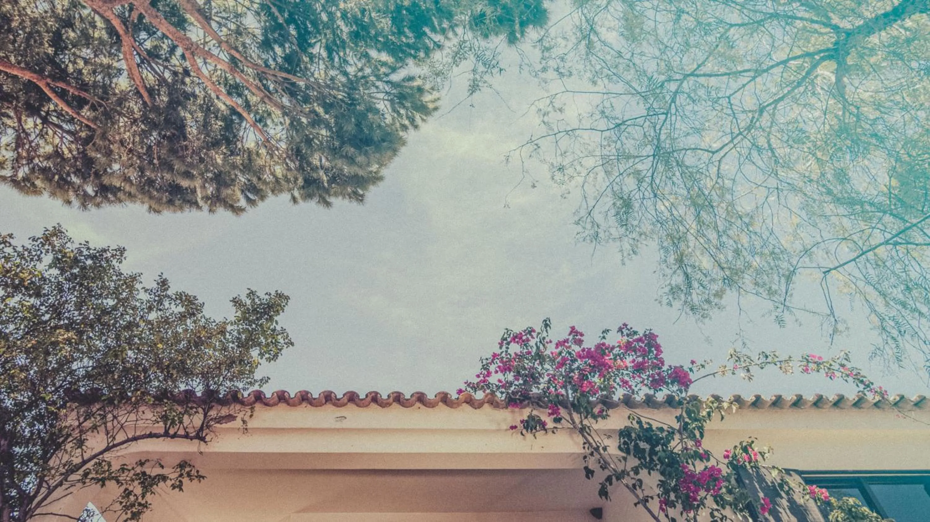 Property building in Pine House - Faro Airport, Beach and City Center