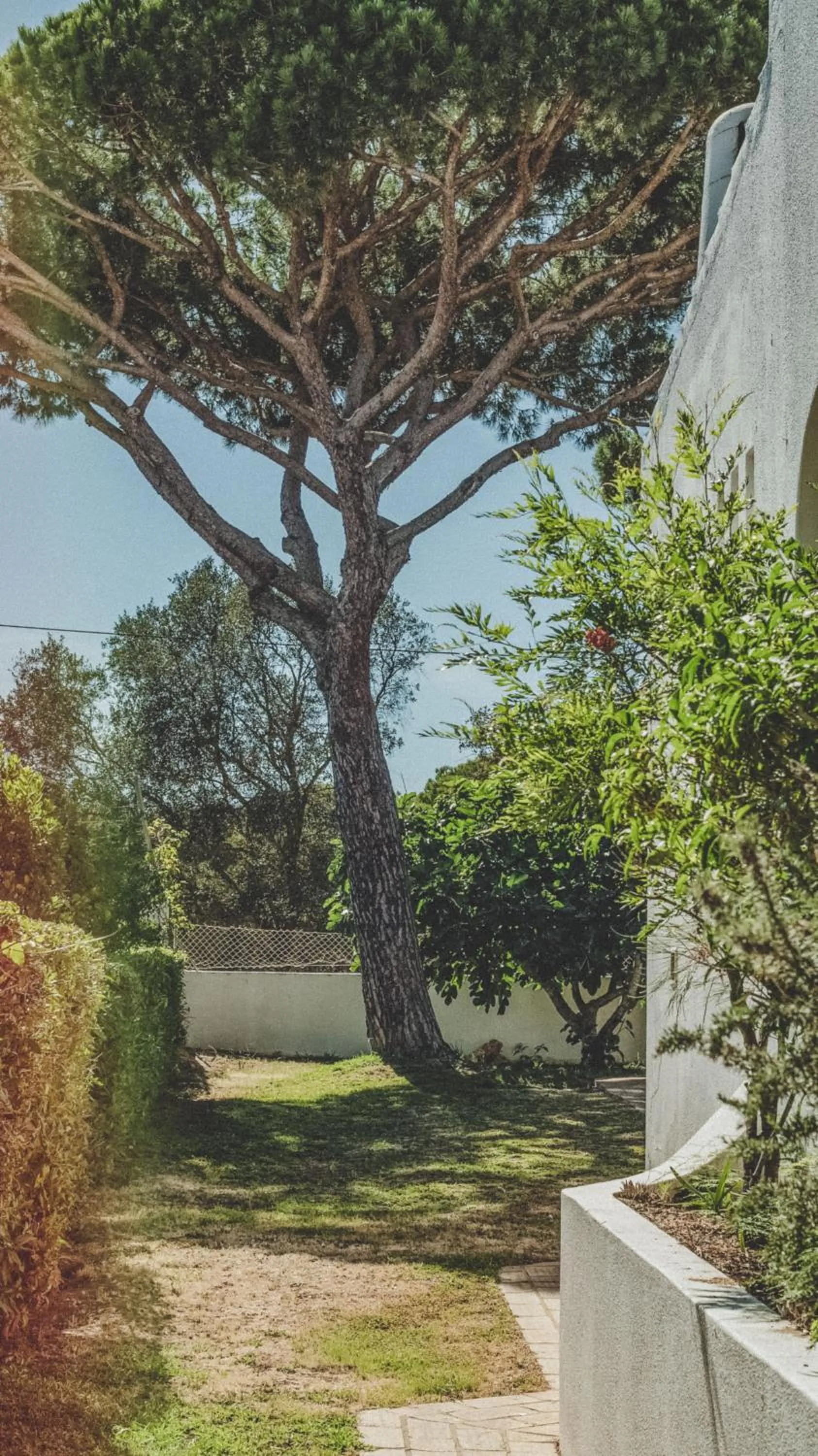 Day in Pine House - Faro Airport, Beach and City Center