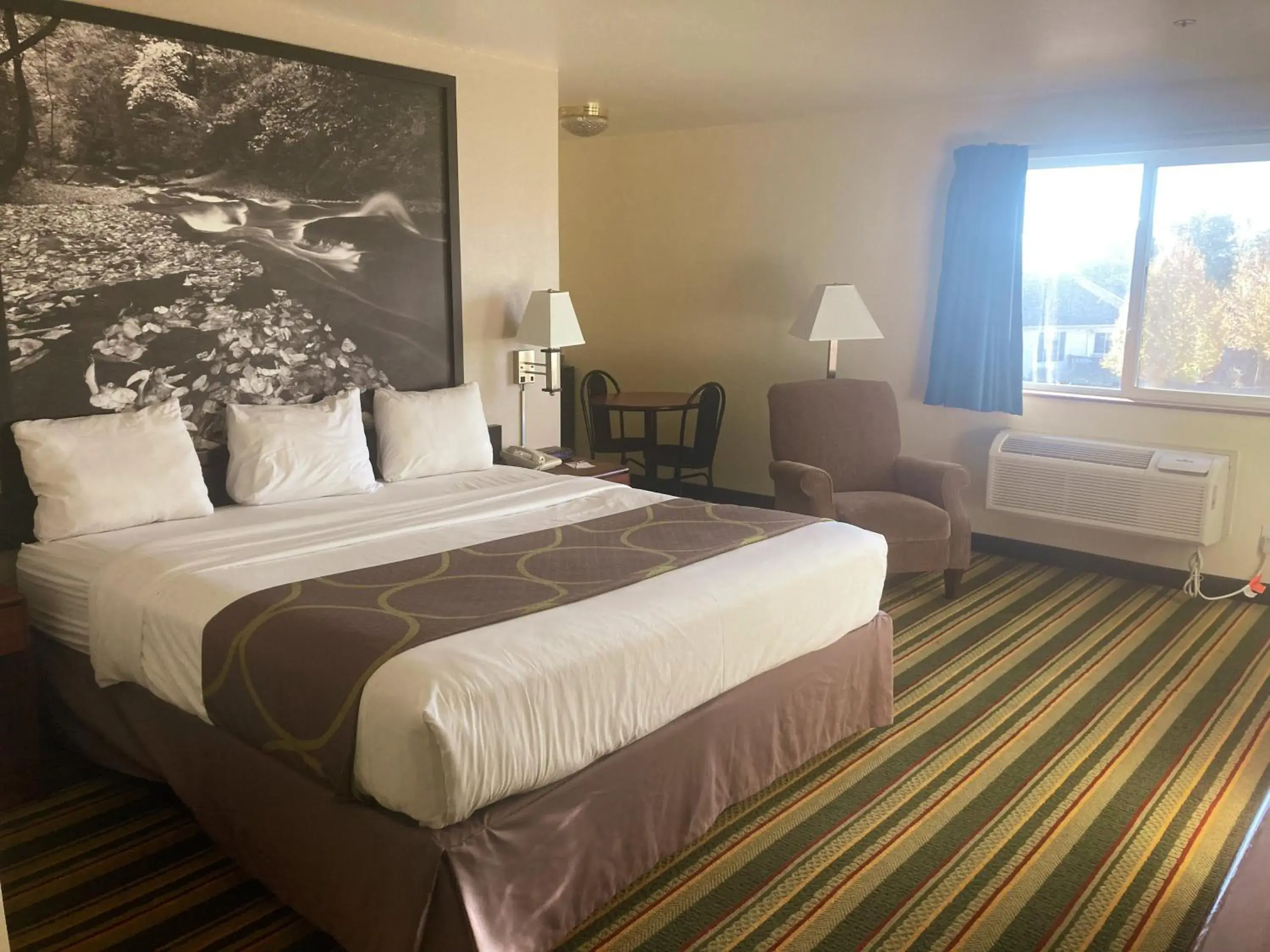 Bedroom, Bed in Super 8 by Wyndham Windsor Bedroom, Bed in Super 8 by Wyndham Windsor