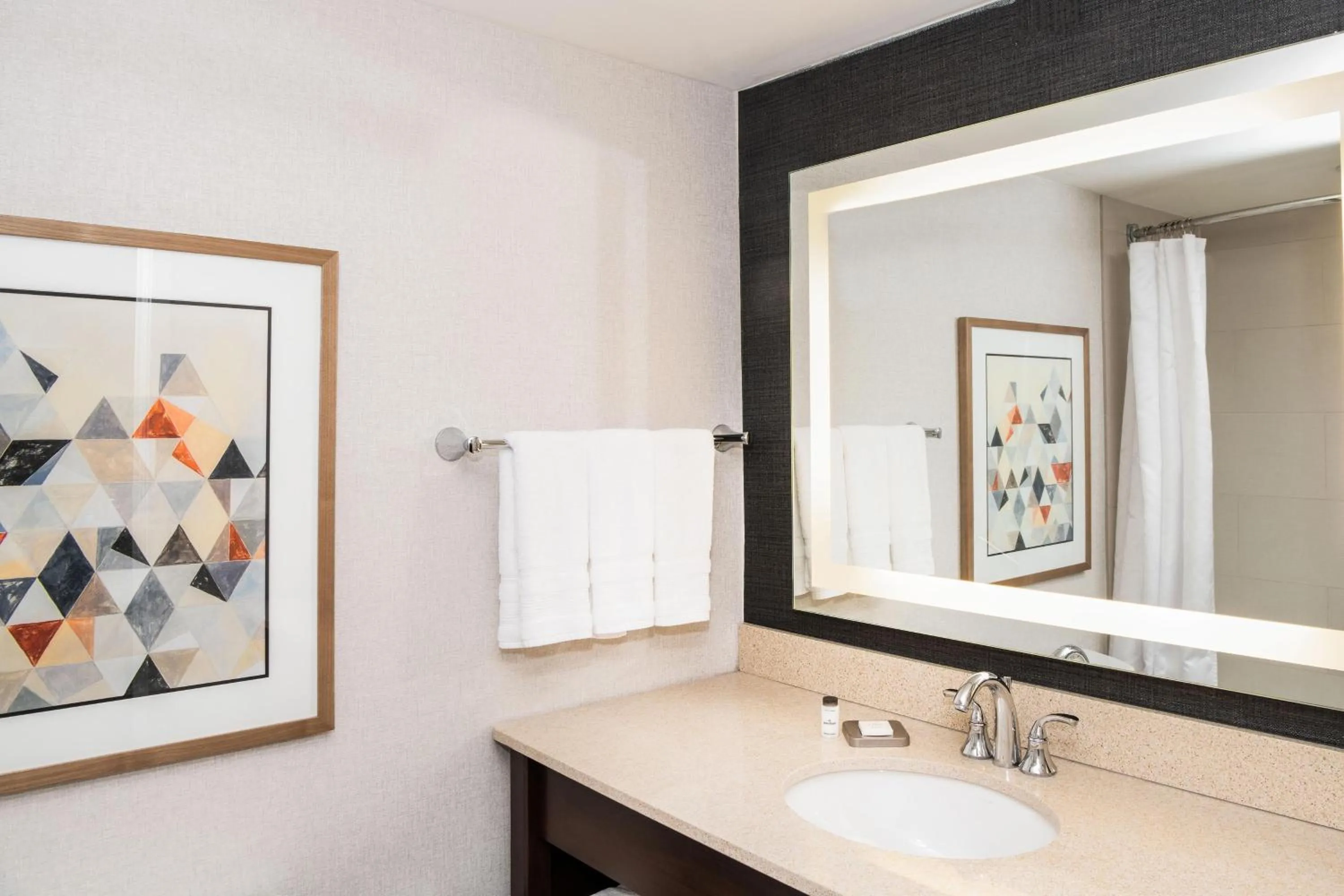 Bathroom in Sheraton Ann Arbor Hotel