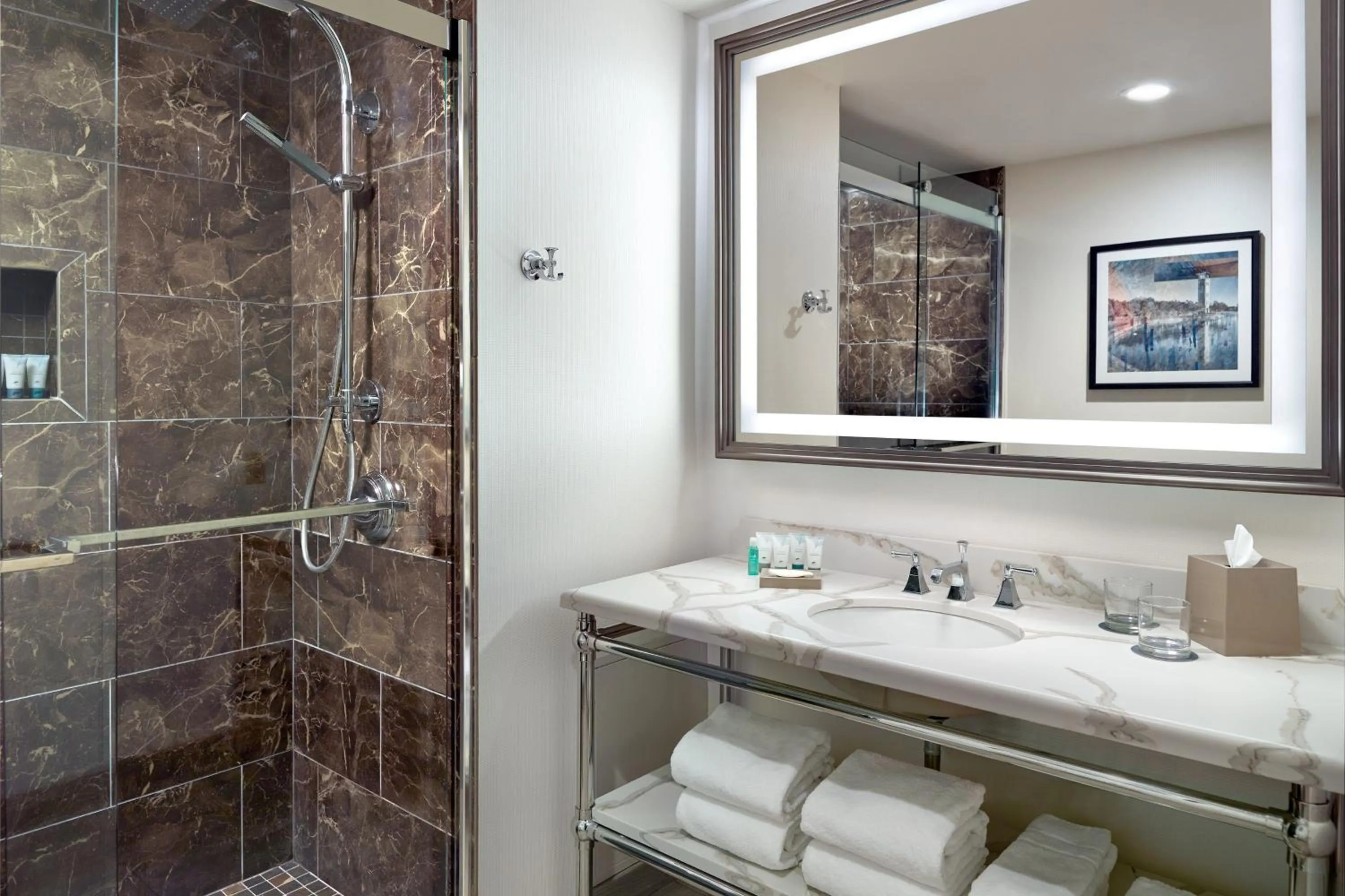 Bathroom in The Westin Poinsett, Greenville