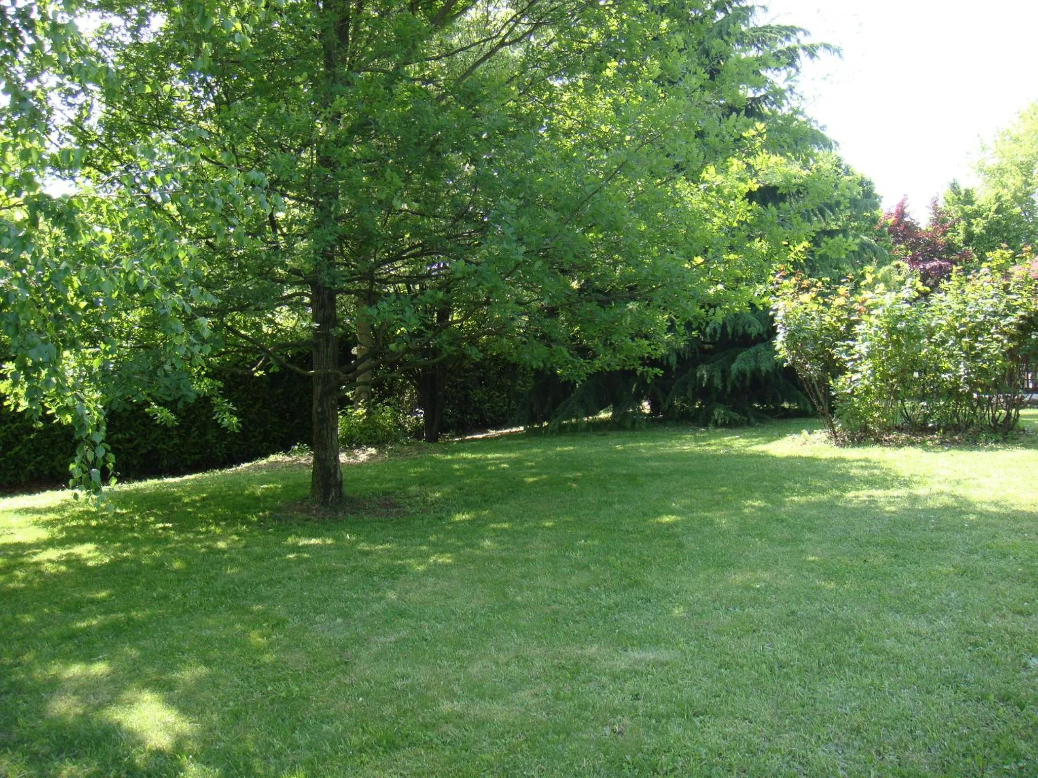 Garden in B&B San Nicolò