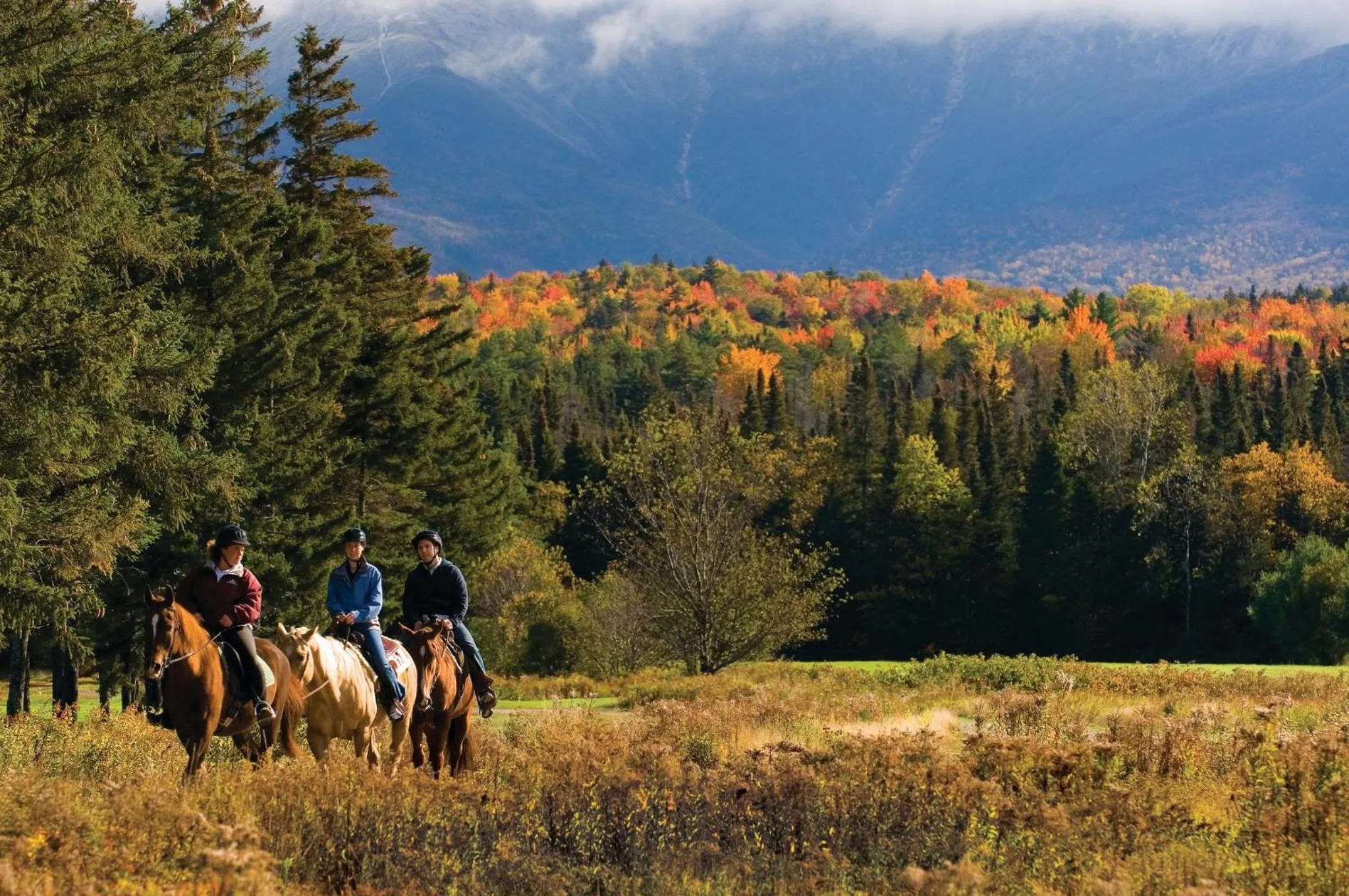 Other in Omni Mount Washington Resort & Spa