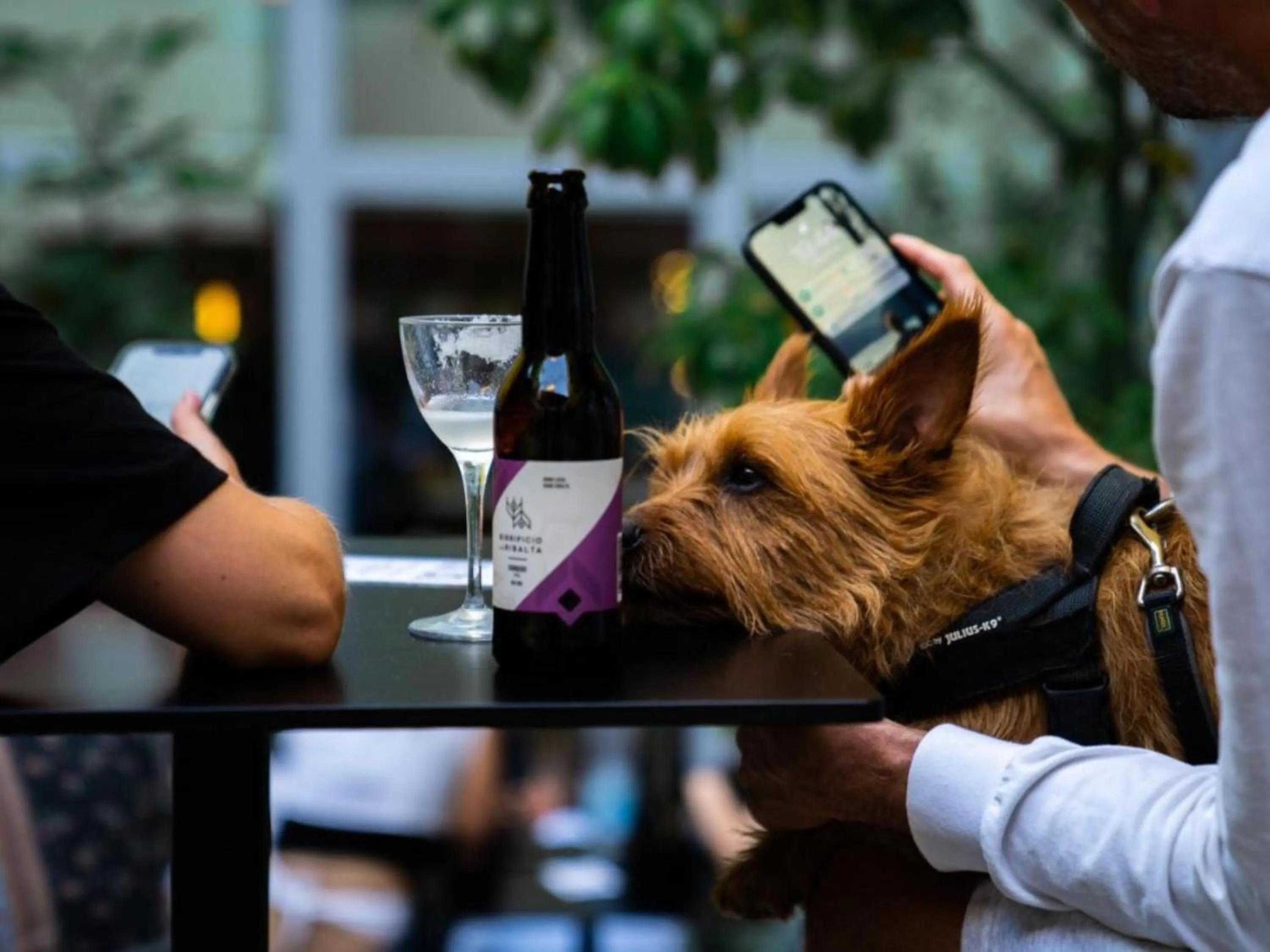 People in 21 House of Stories Città Studi