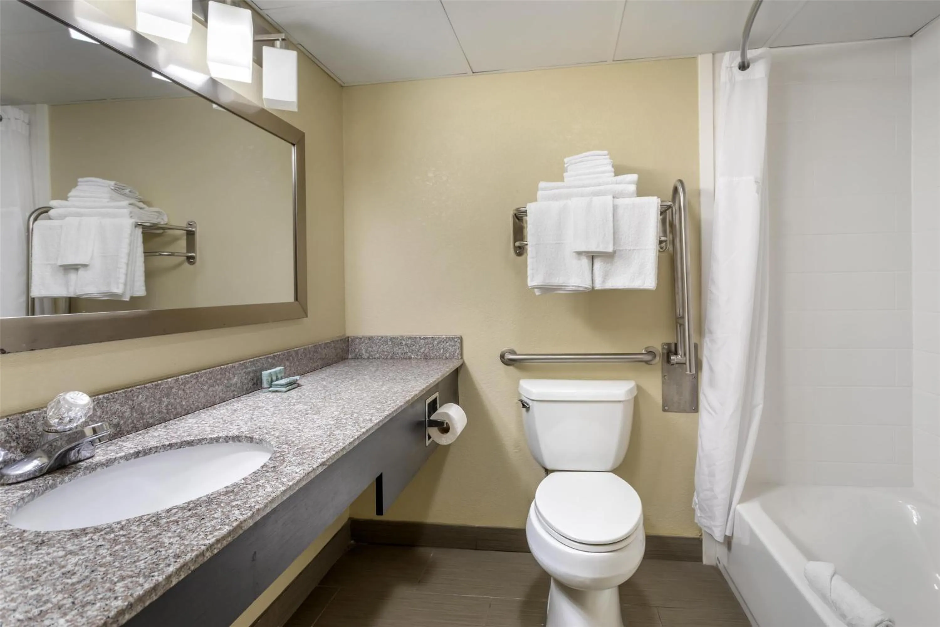 Bathroom in Best Western Plaza Inn