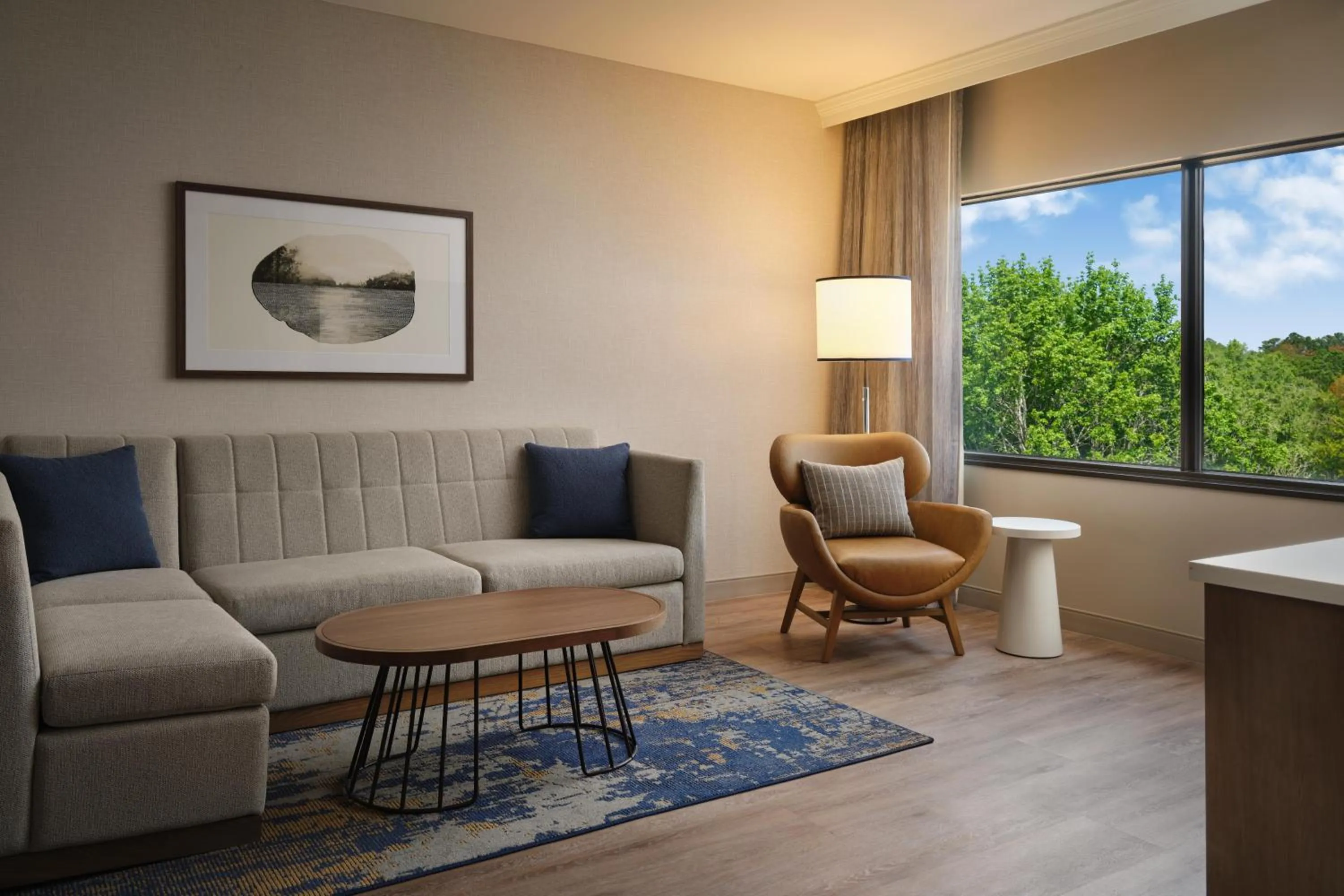 Photo of the whole room in Hyatt Regency Suites Atlanta Northwest