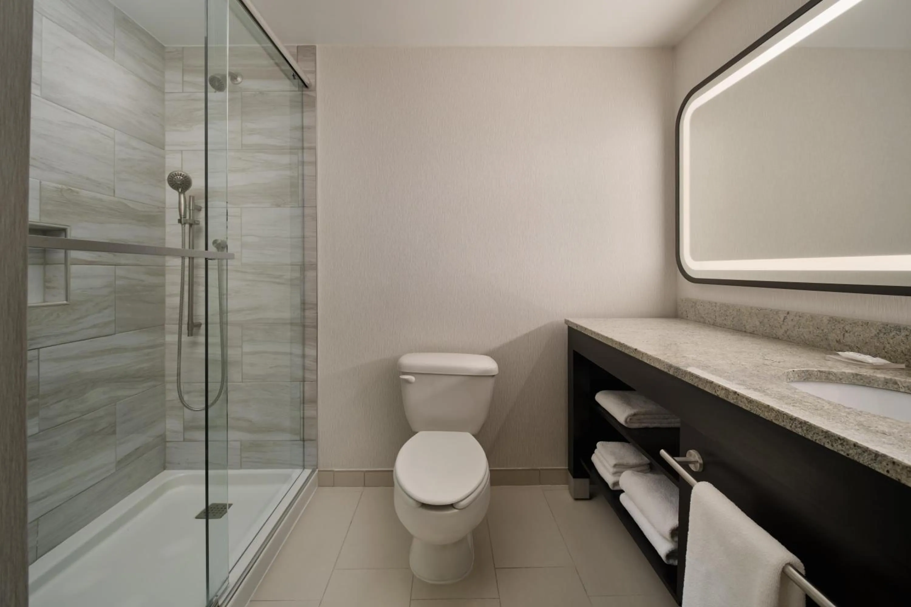 Shower in Hyatt Regency Suites Atlanta Northwest