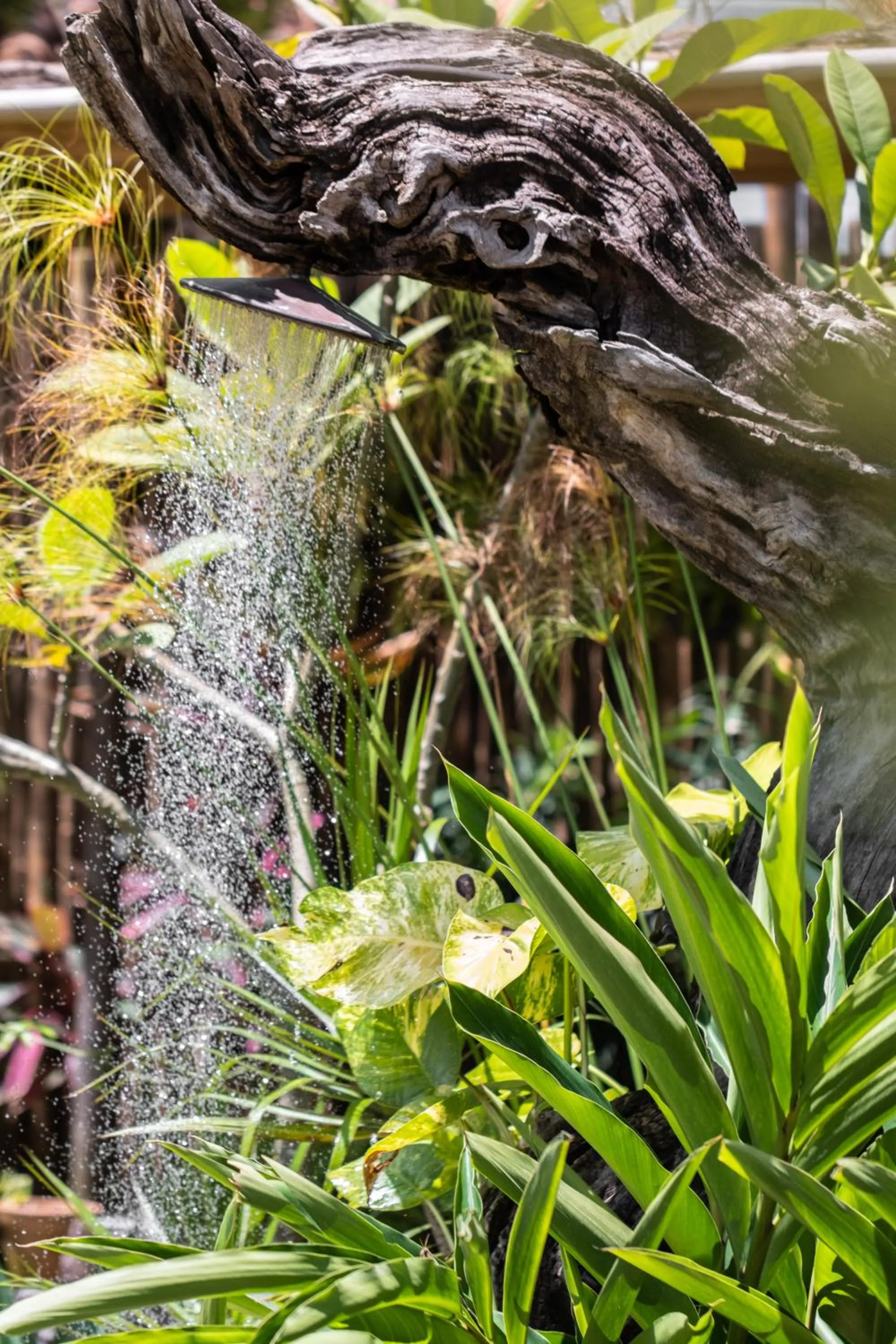 Property building in Casa das Conchas Caraiva