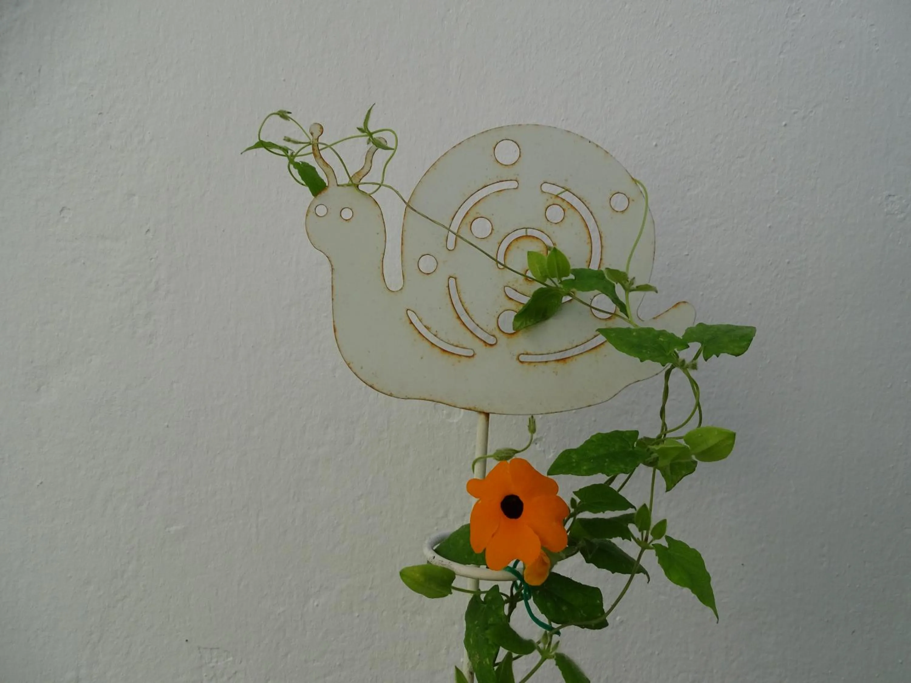 Decorative detail in A la Vill'Adour