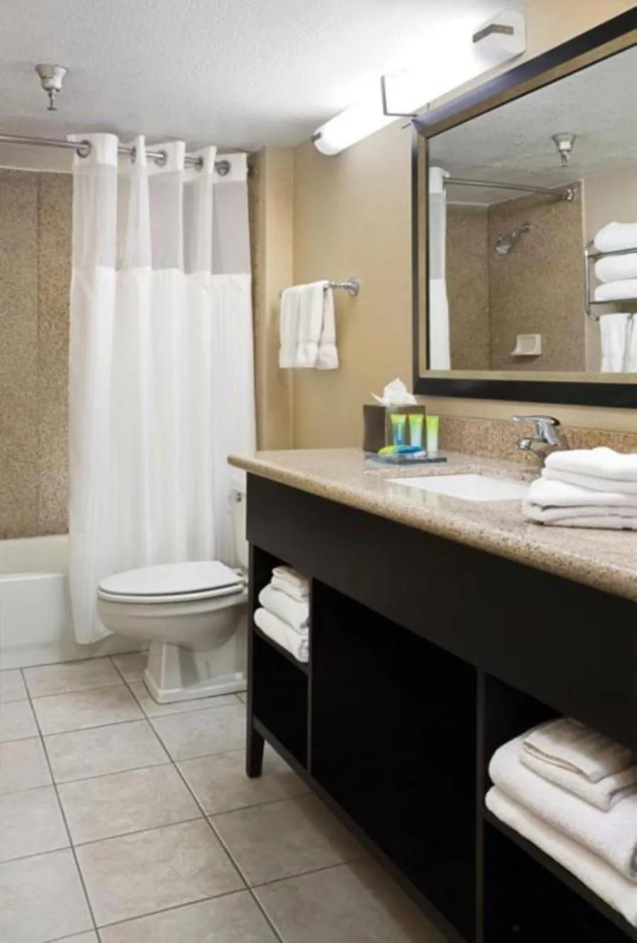 Bathroom in Radisson Hotel Bismarck