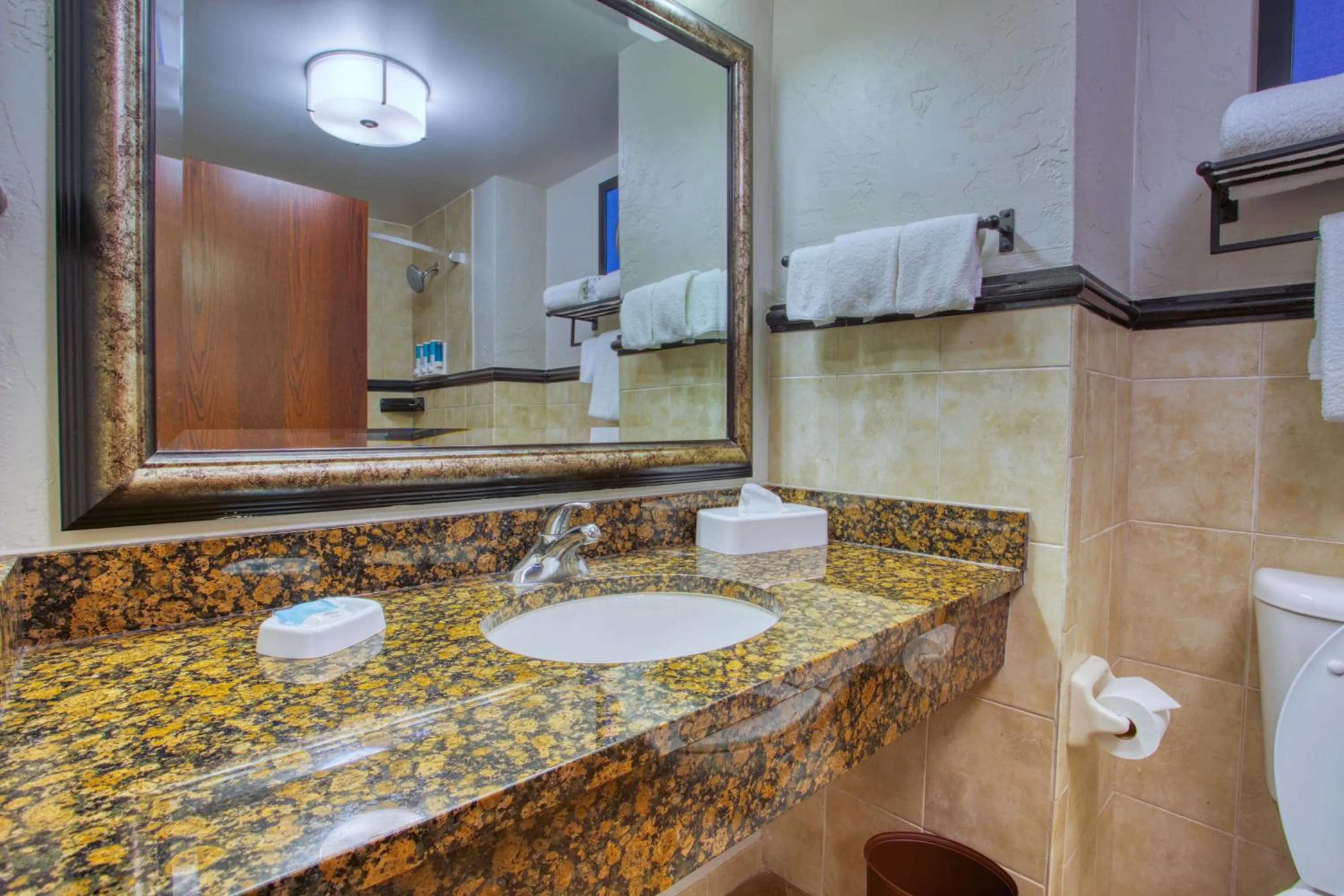 Bathroom in Drury Inn & Suites San Antonio Near La Cantera