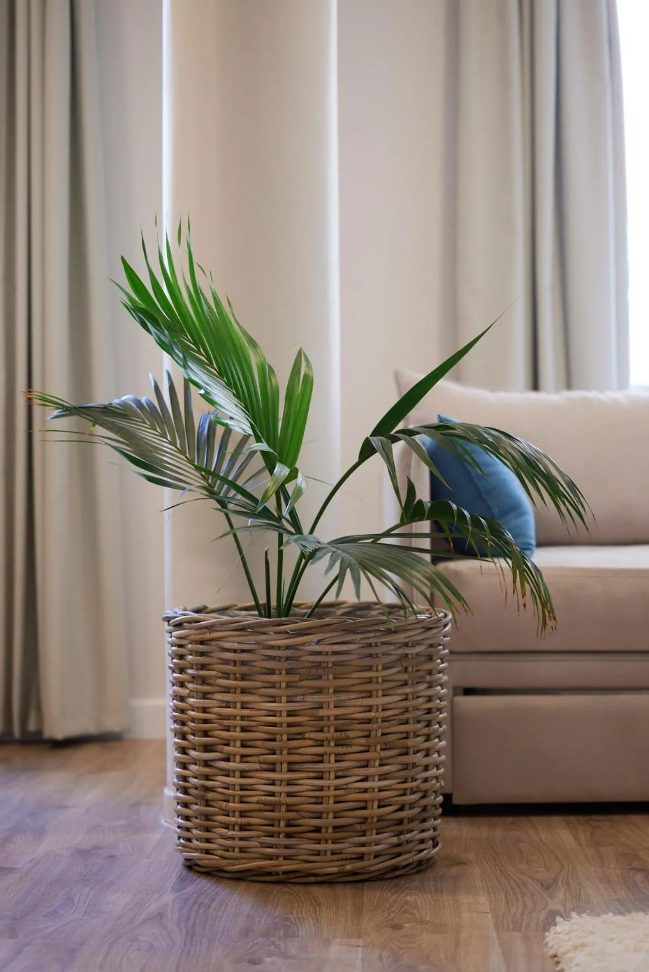 Athenian Sensations Apartments and Suites in the Heart of Athens