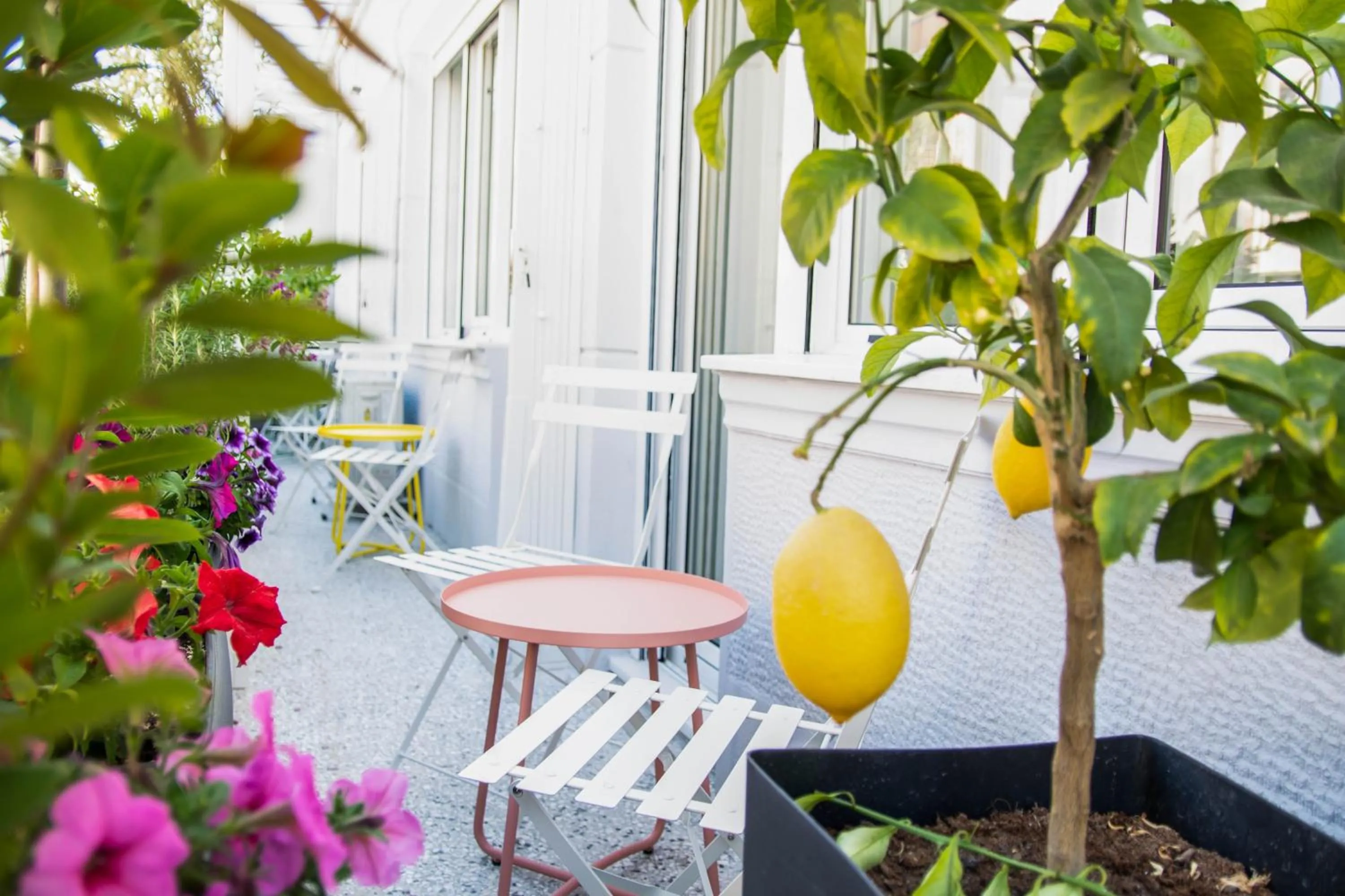 Athenian Sensations Apartments and Suites in the Heart of Athens