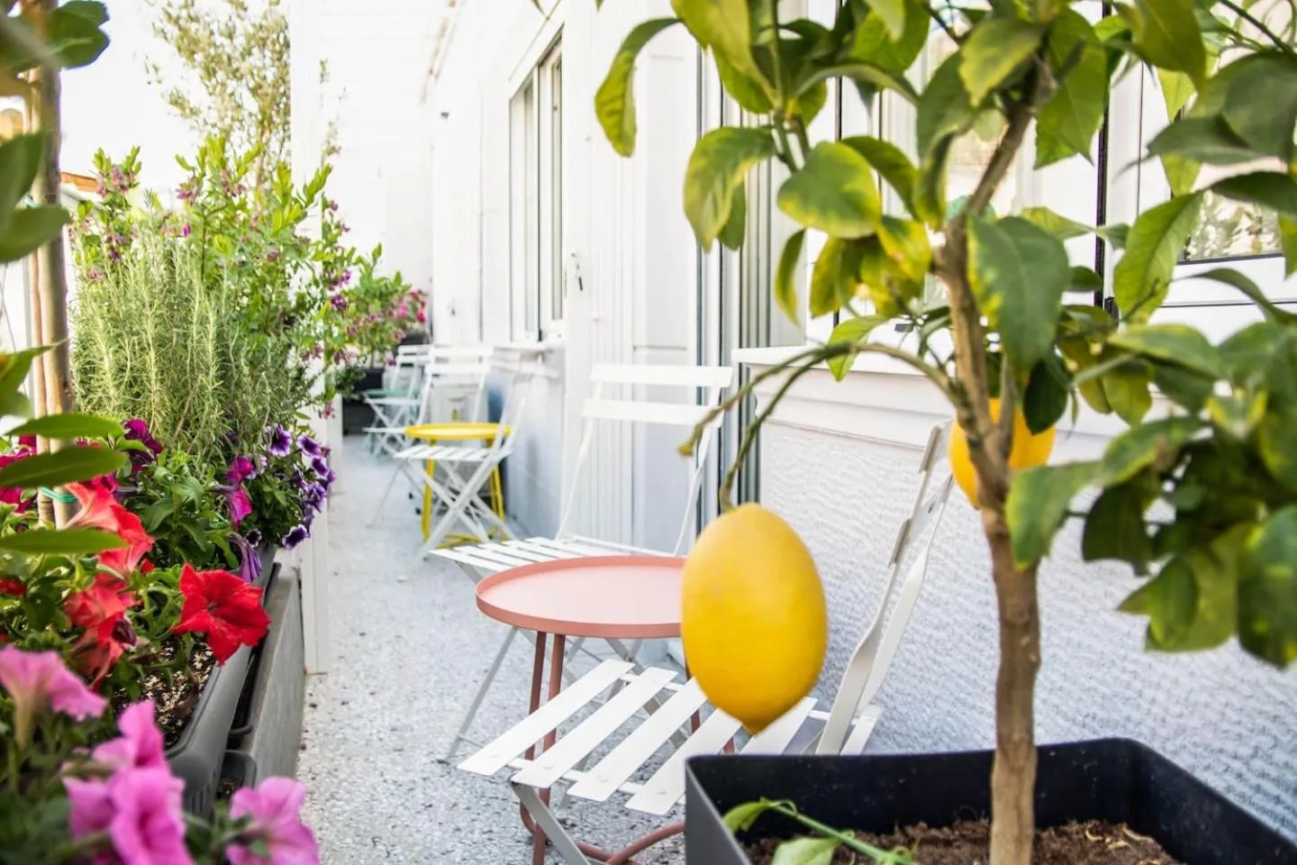 Balcony/Terrace in Athenian Sensations Apartments and Suites in the Heart of Athens