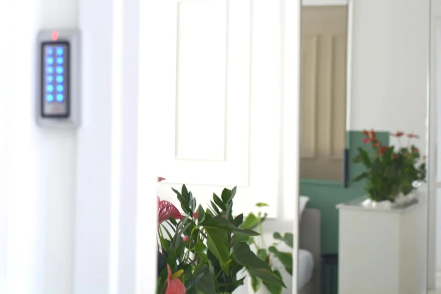 Athenian Sensations Apartments and Suites in the Heart of Athens