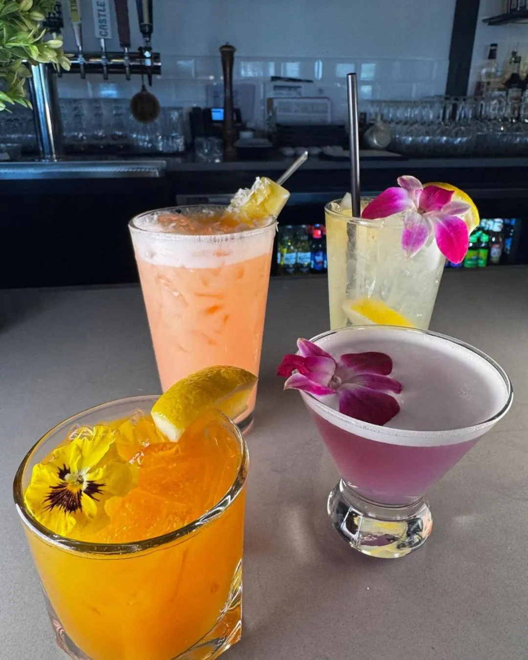 Lounge or bar in Four Points by Sheraton Norwood Conference Center