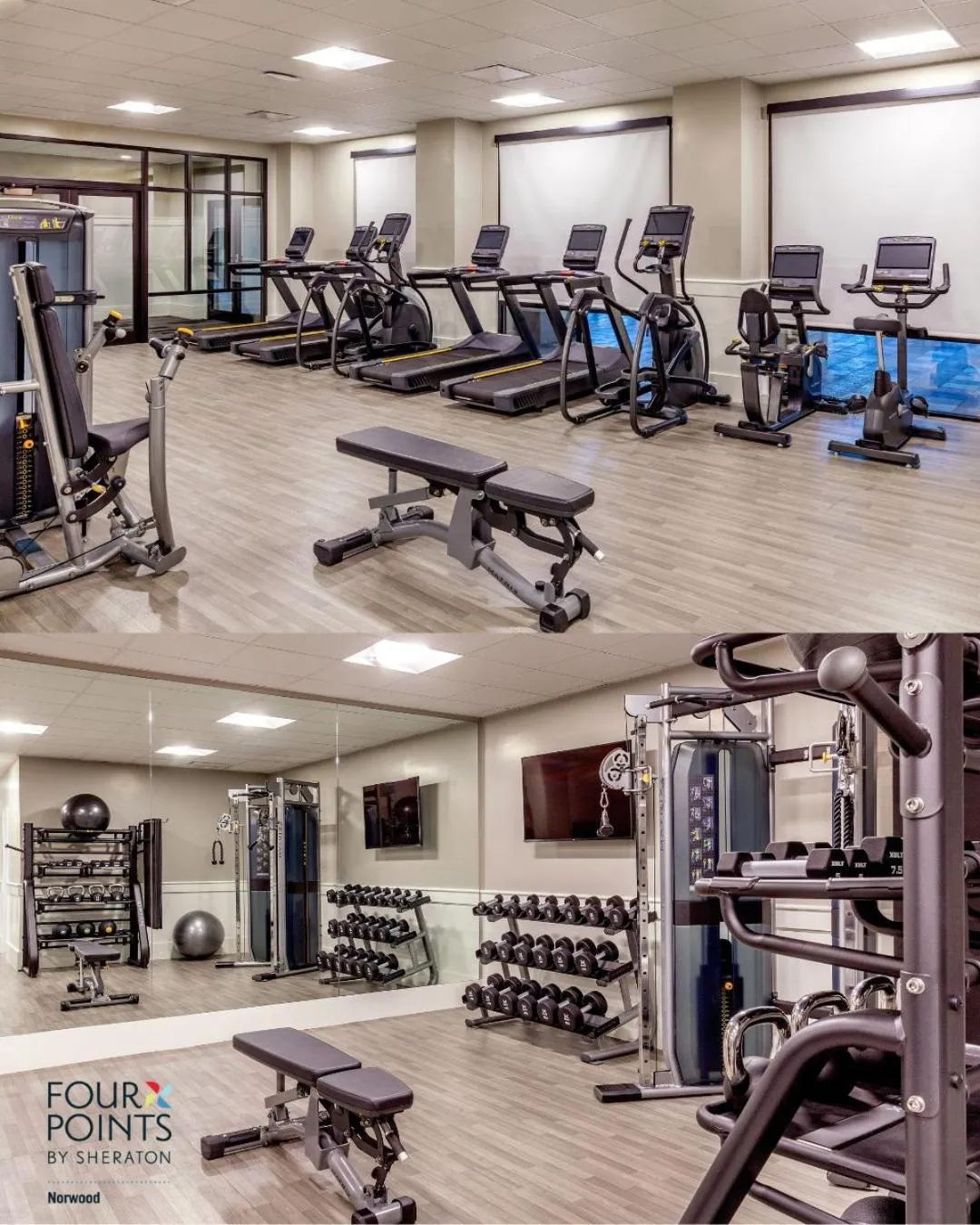 Fitness centre/facilities in Four Points by Sheraton Norwood Conference Center