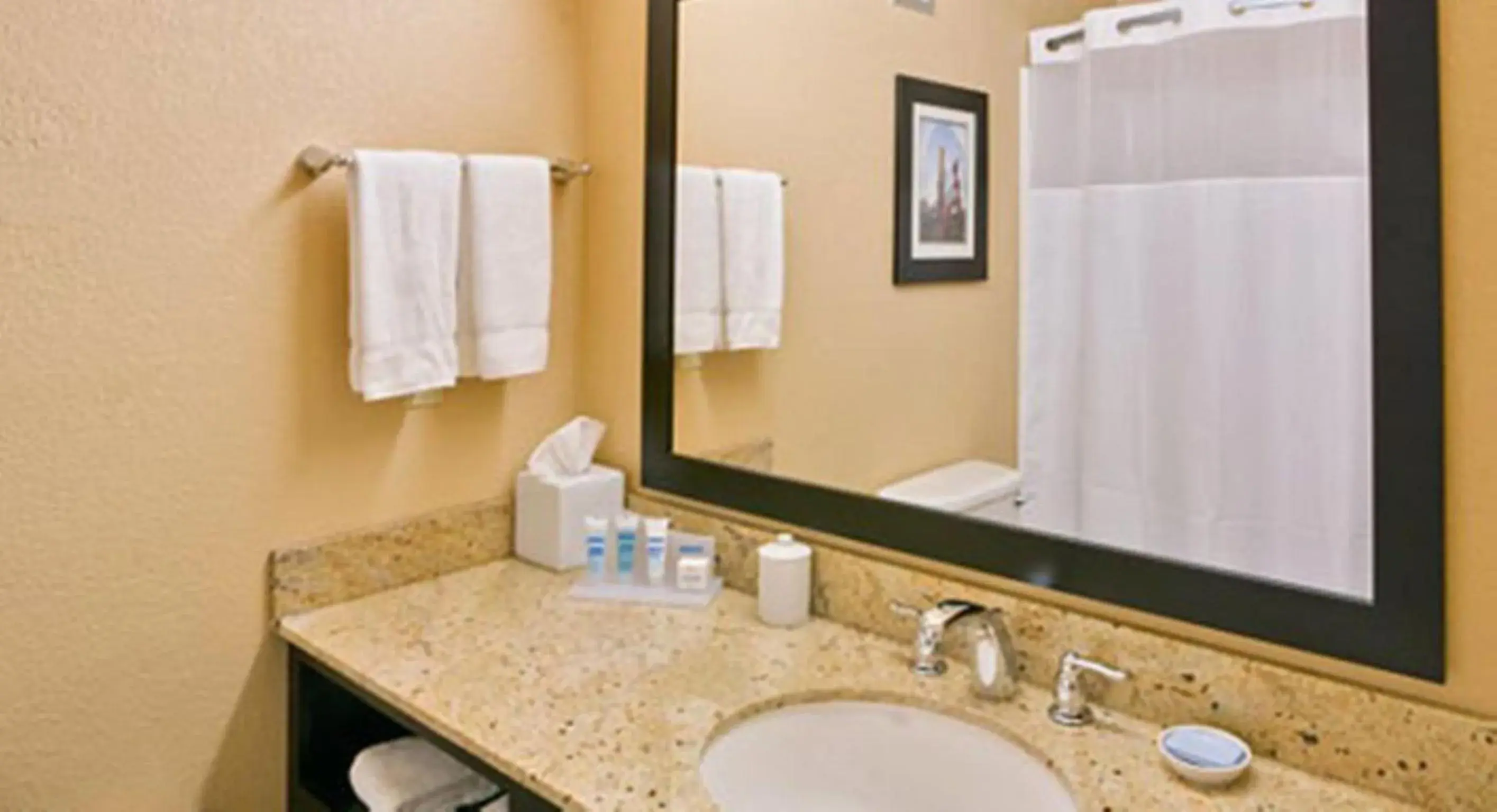 Bathroom in Wyndham Garden Oklahoma City Resort & Conference Hotel Near Airport, Fairgrounds Paycom & I40 Bathroom in Wyndham Garden Oklahoma City Resort & Conference Hotel Near Airport, Fairgrounds Paycom & I40