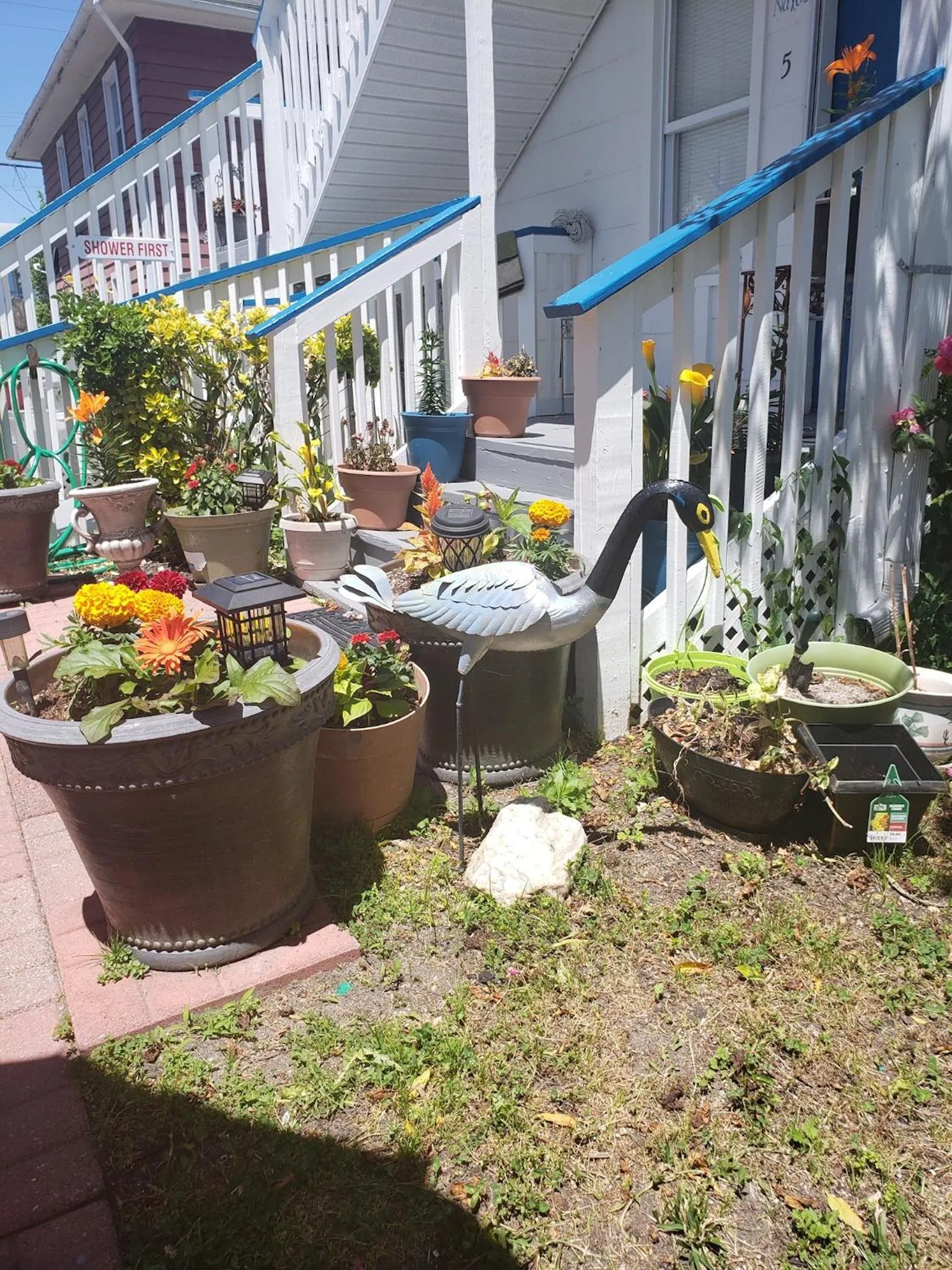 Anna's place