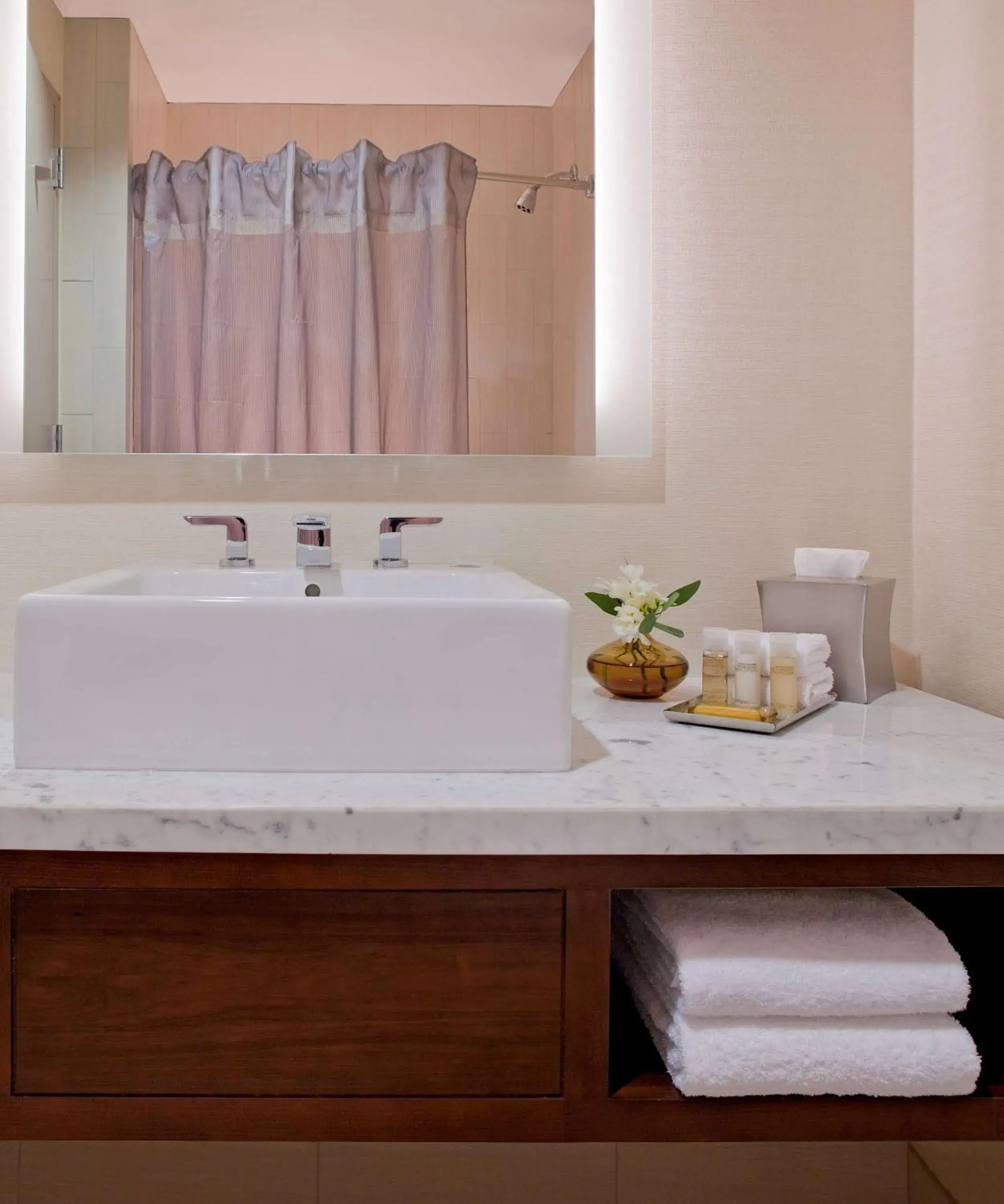 Bathroom in Hyatt Regency Morristown Bathroom in Hyatt Regency Morristown