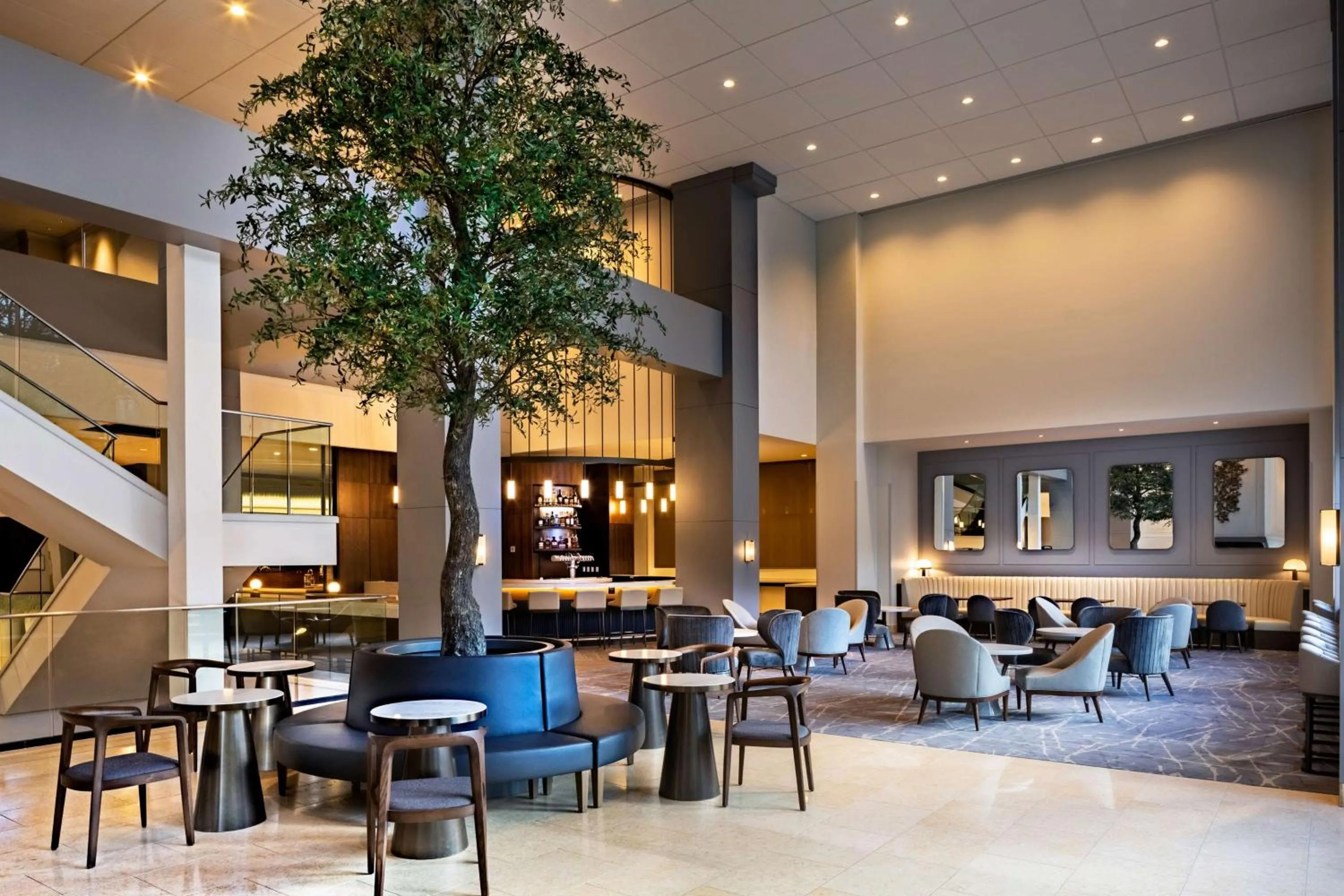 Restaurant/places to eat in Hyatt Regency Morristown