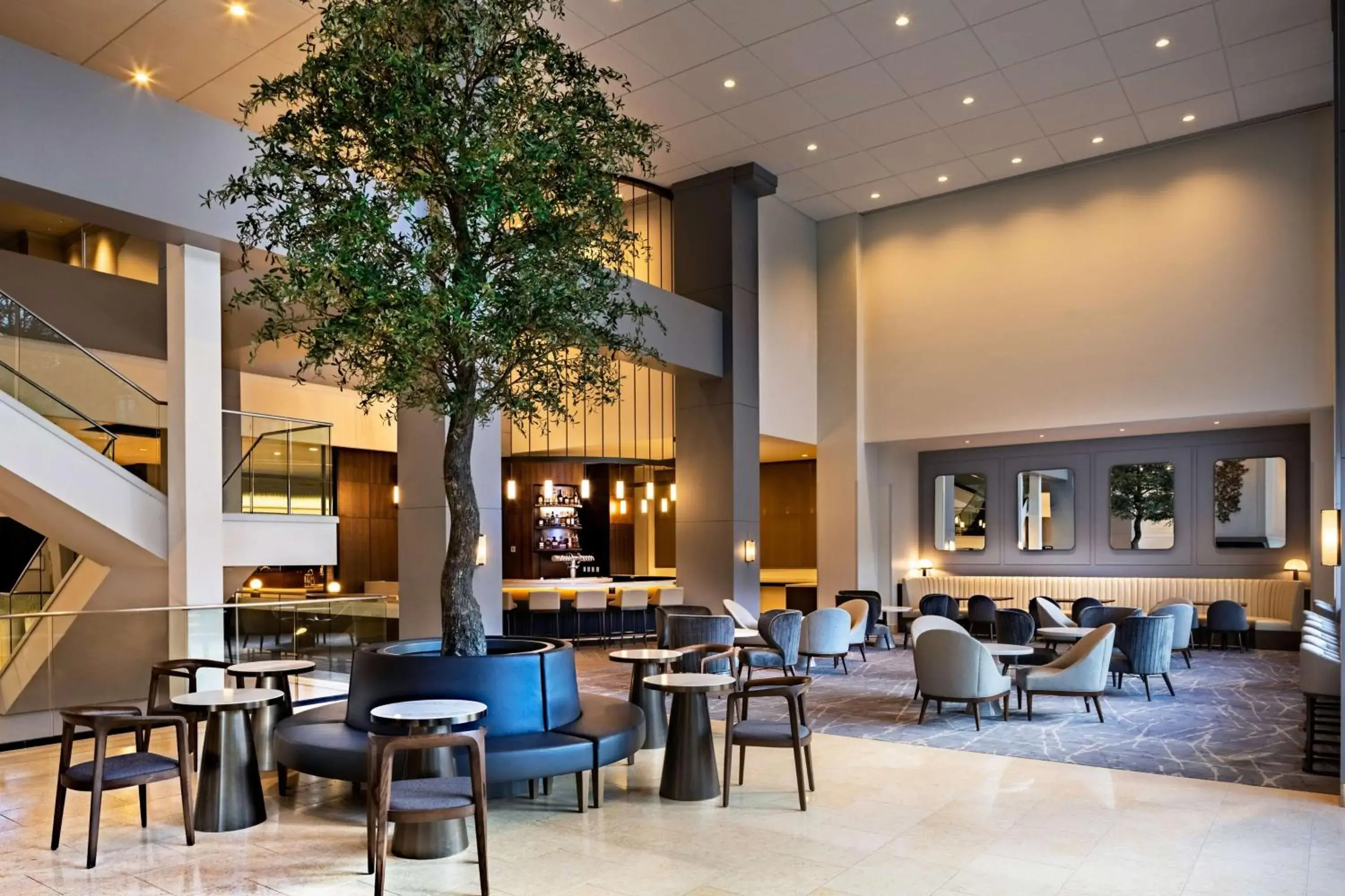 Restaurant/places to eat in Hyatt Regency Morristown Restaurant/places to eat in Hyatt Regency Morristown