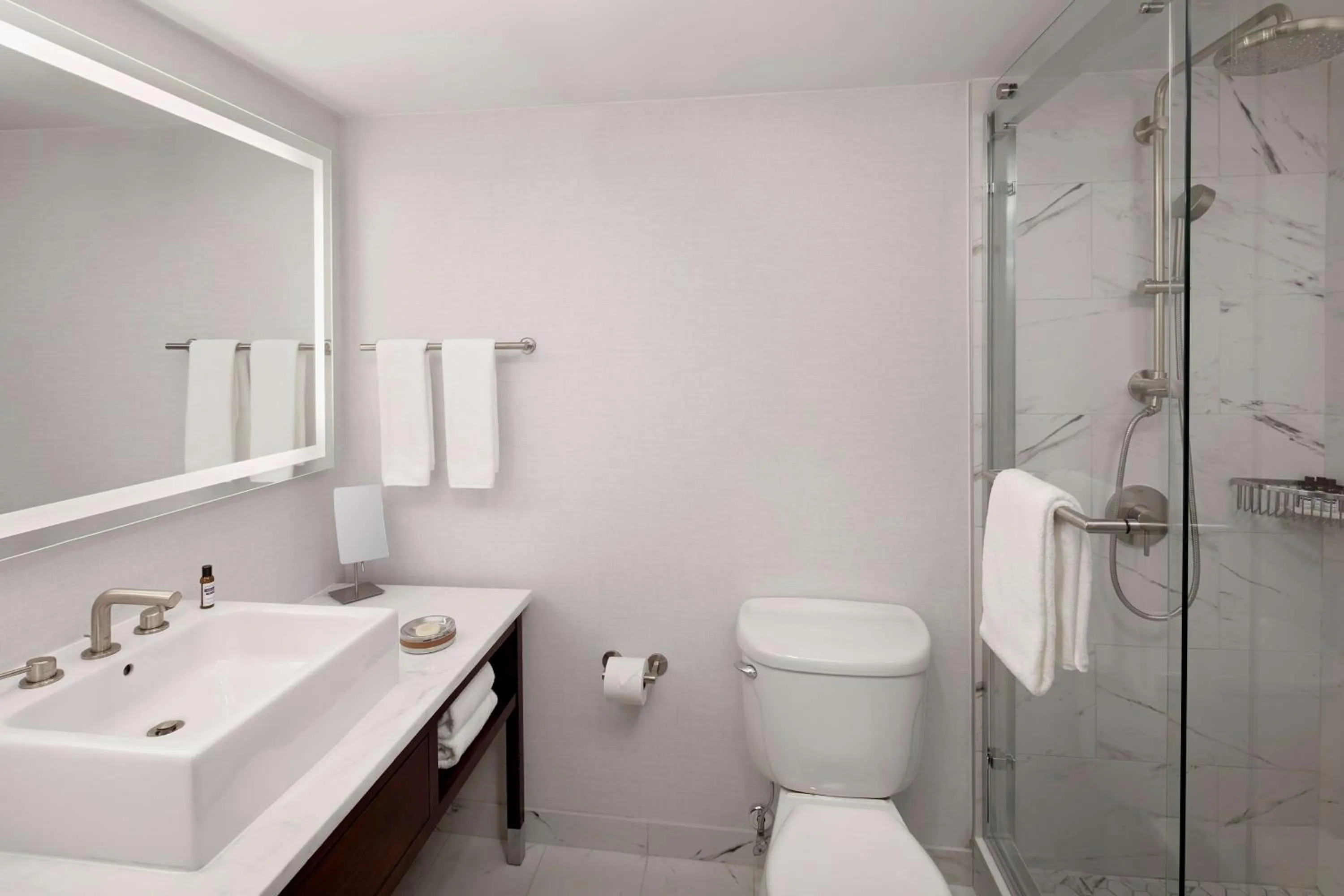 Toilet in Hyatt Regency Morristown