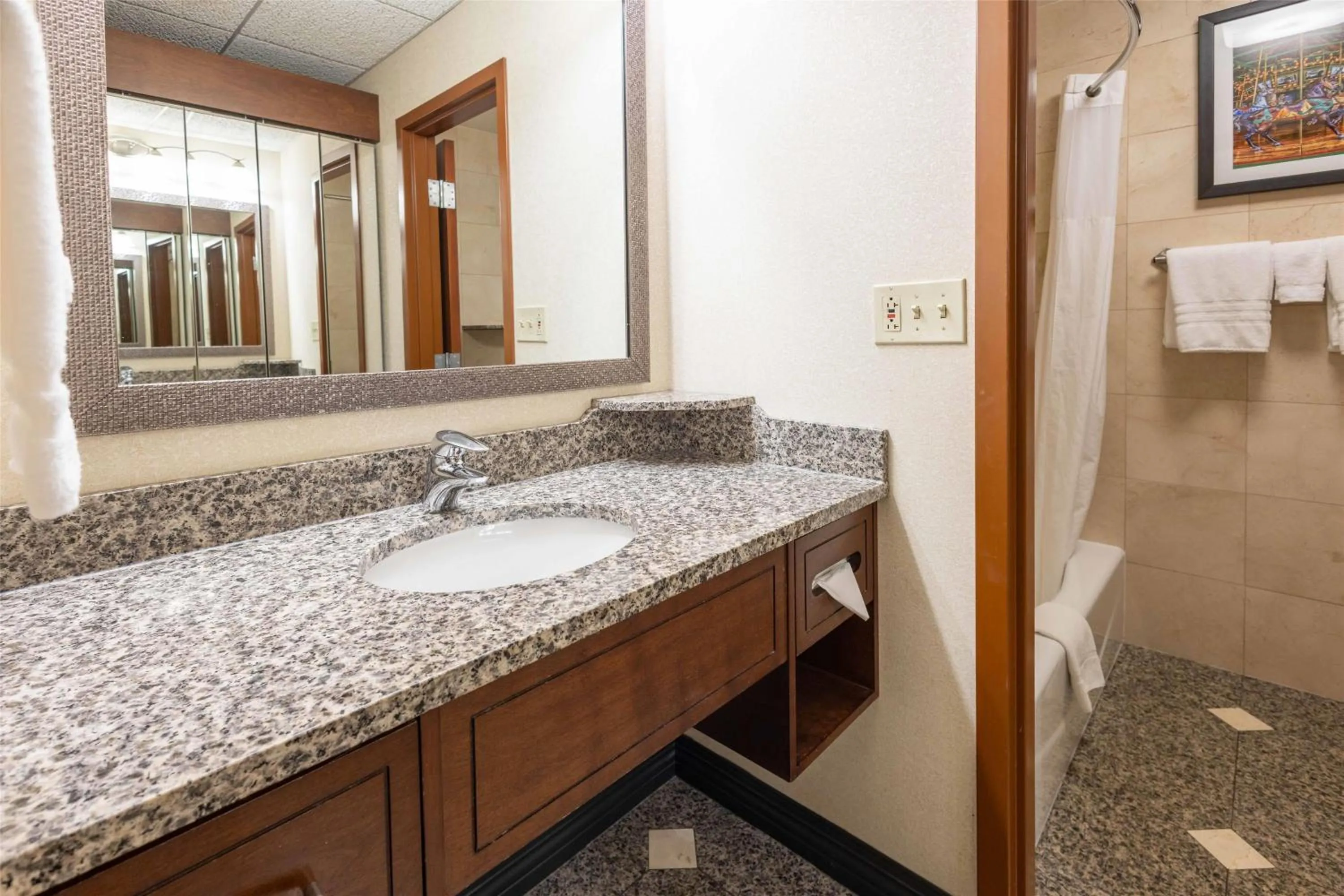 Bathroom in Drury Plaza Hotel St. Louis Chesterfield