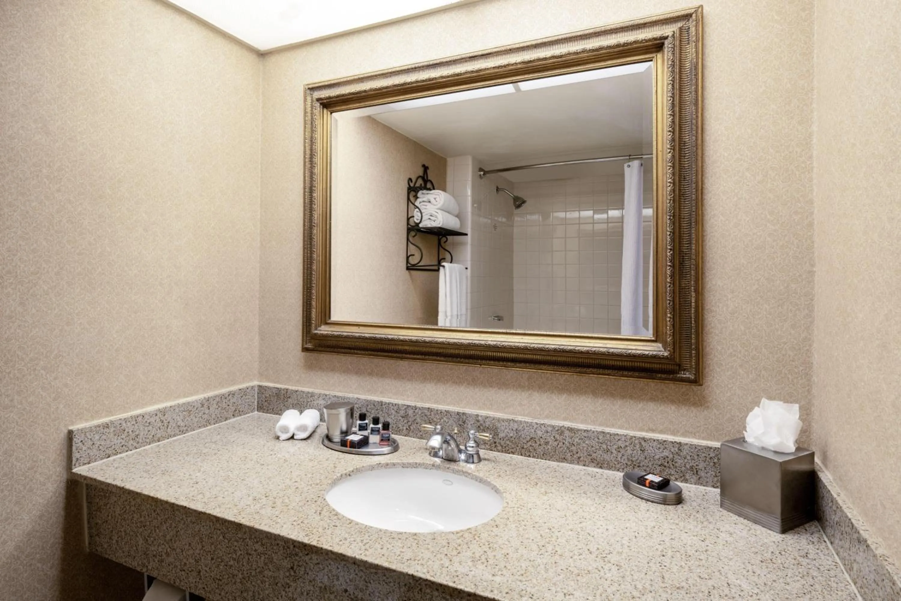 Bathroom in Austin Southpark Hotel