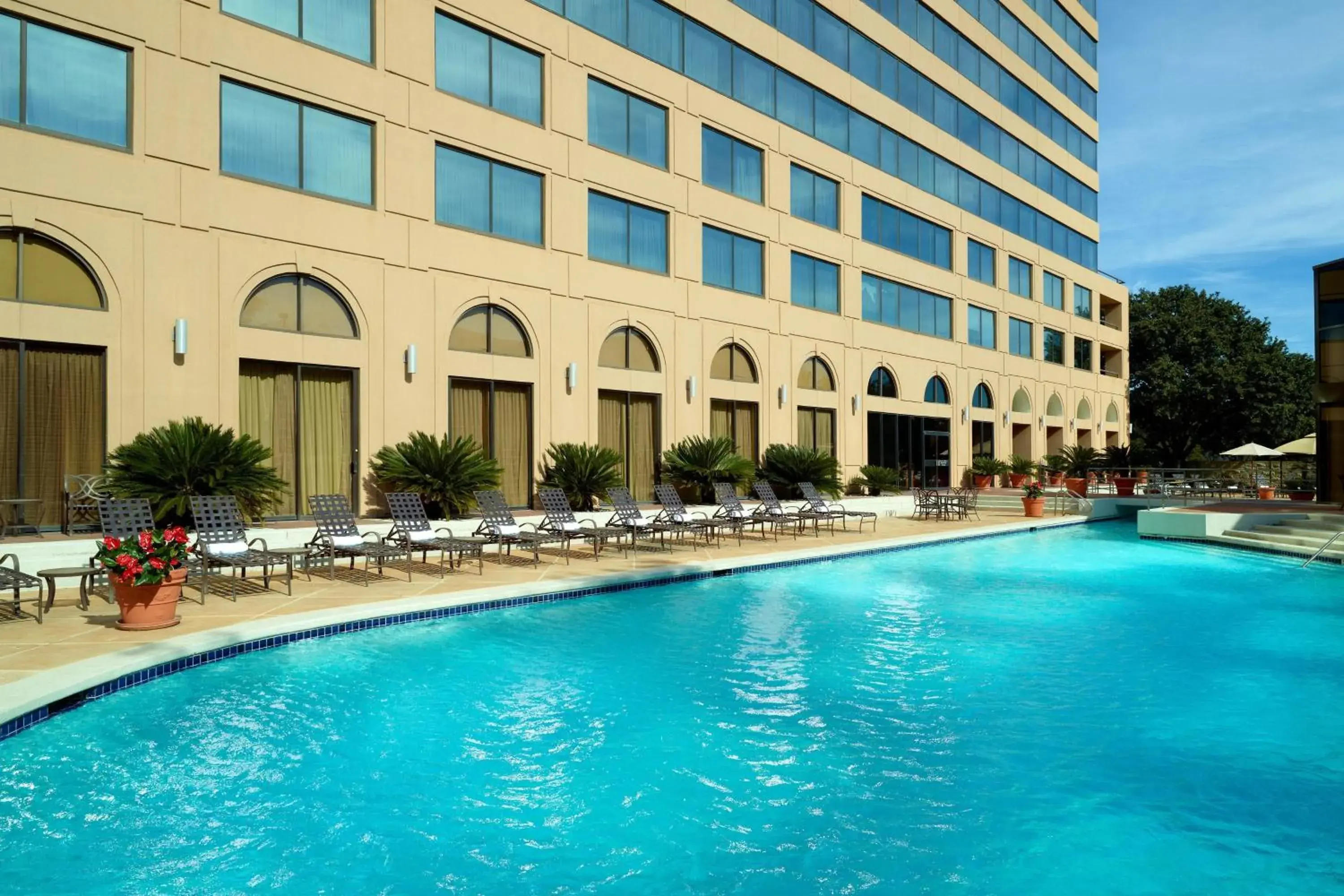 Swimming pool in Austin Southpark Hotel Swimming pool in Austin Southpark Hotel