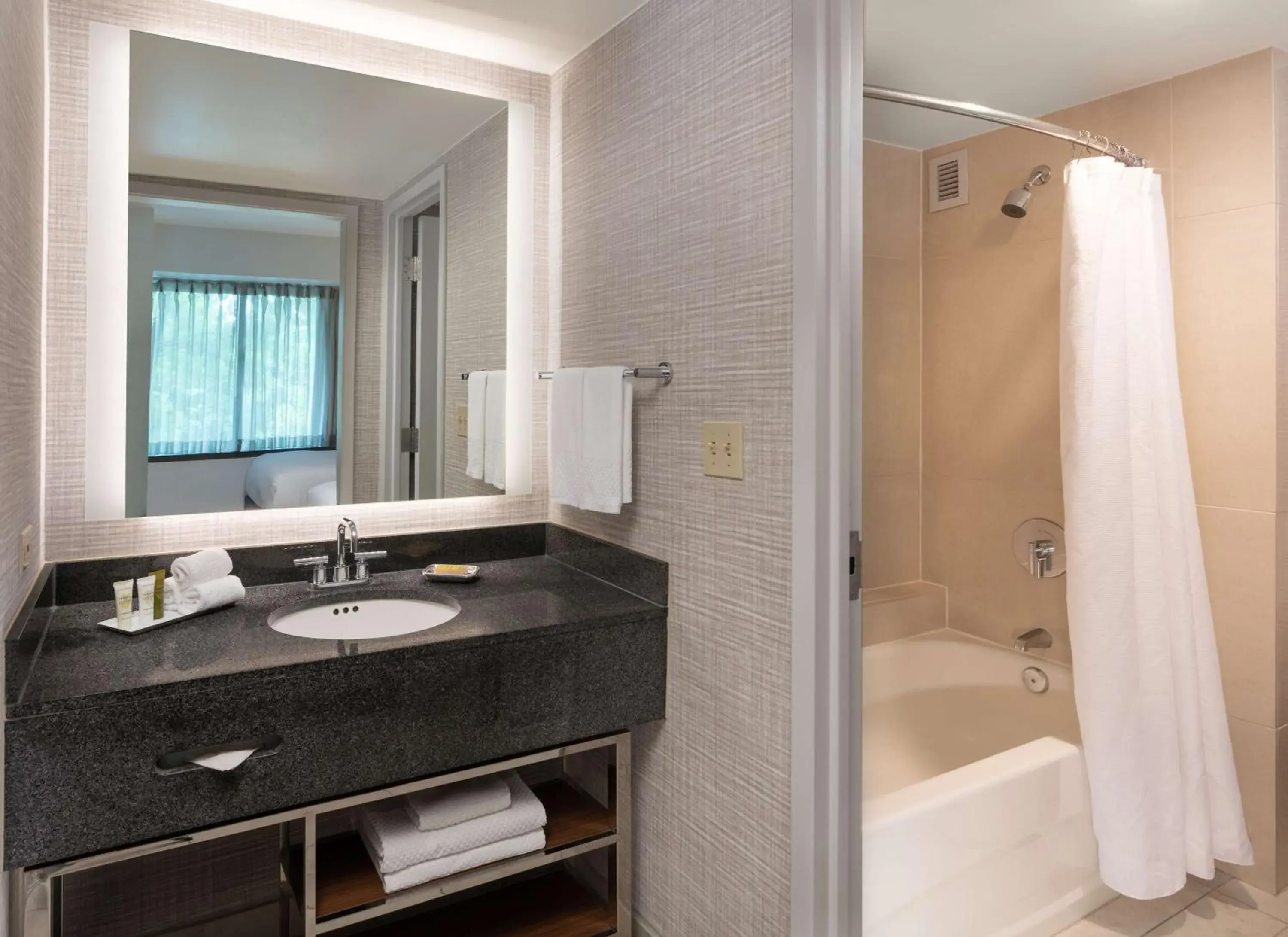 Bathroom in Hilton Fairfax, Va Bathroom in Hilton Fairfax, Va