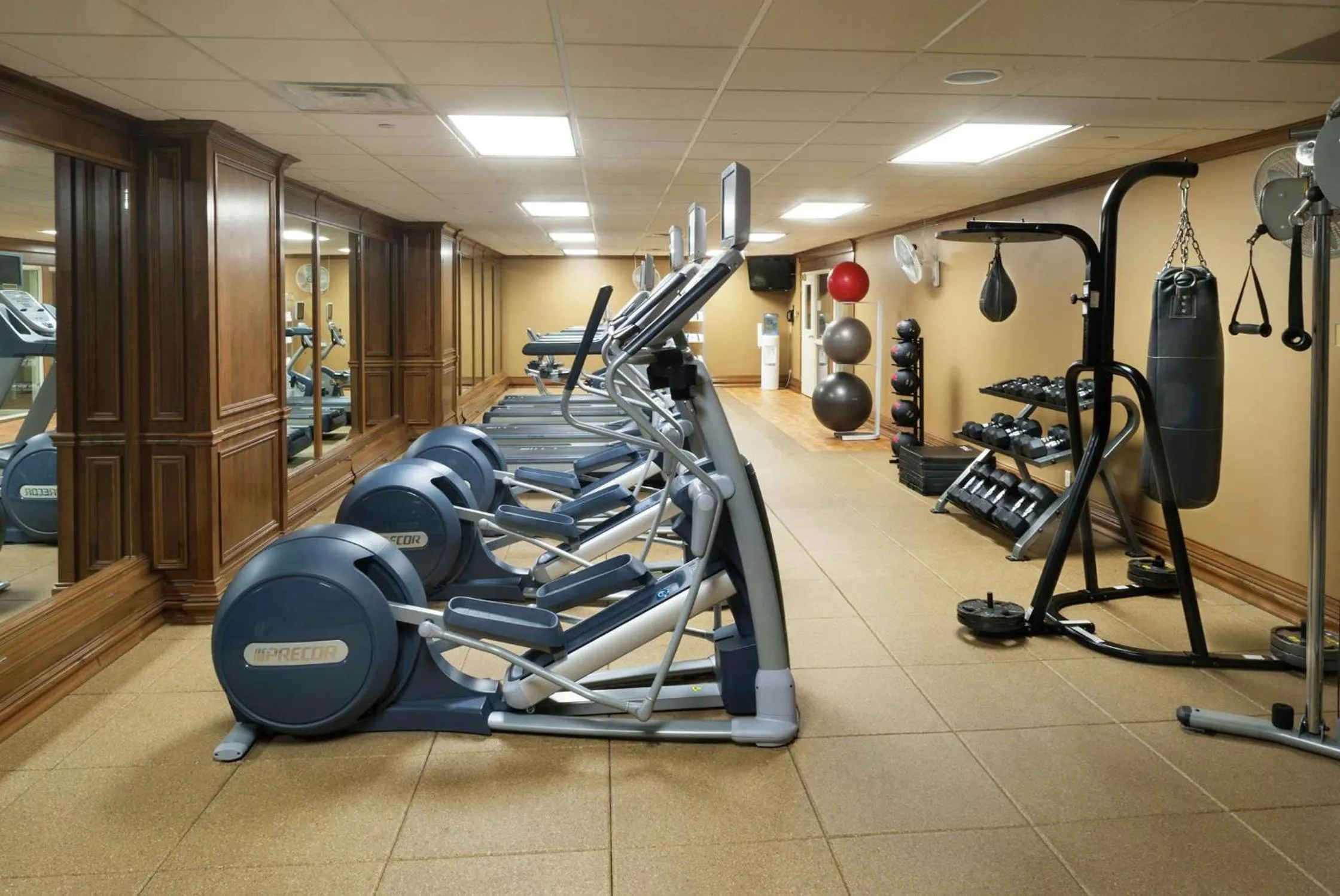 Fitness centre/facilities in President Abraham Lincoln - A Doubletree by Hilton Hotel