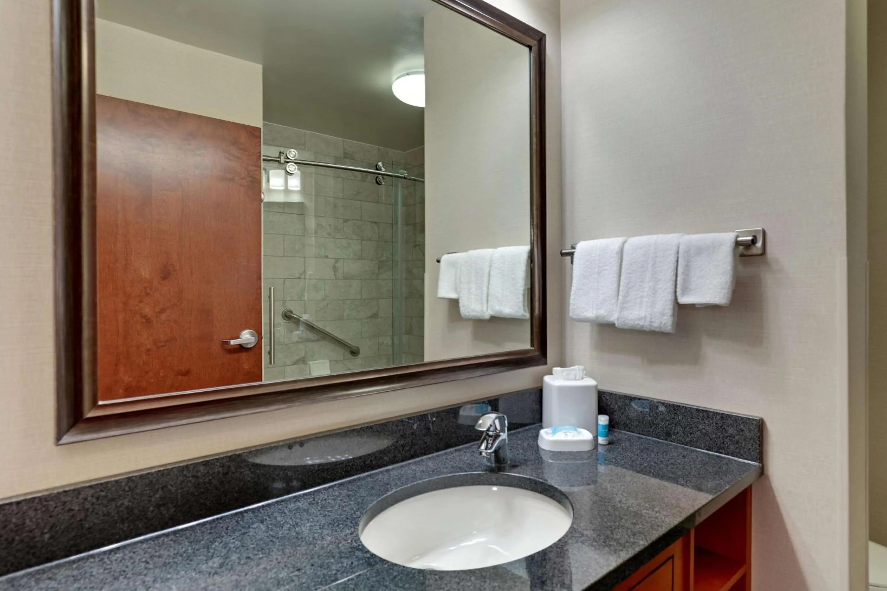 Bathroom in Drury Plaza Hotel Nashville Franklin