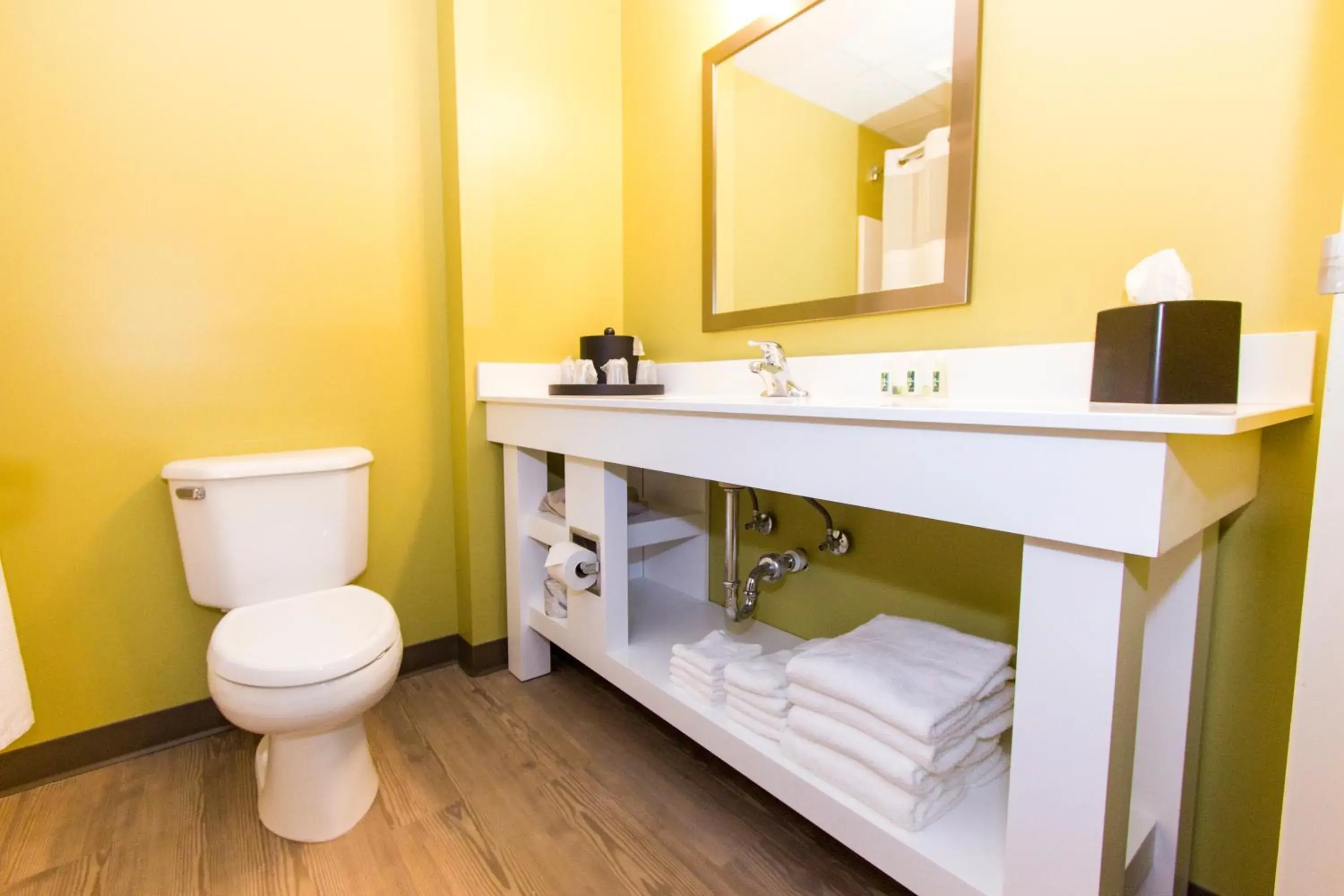 Toilet in Cedar Point's Express Hotel Toilet in Cedar Point's Express Hotel