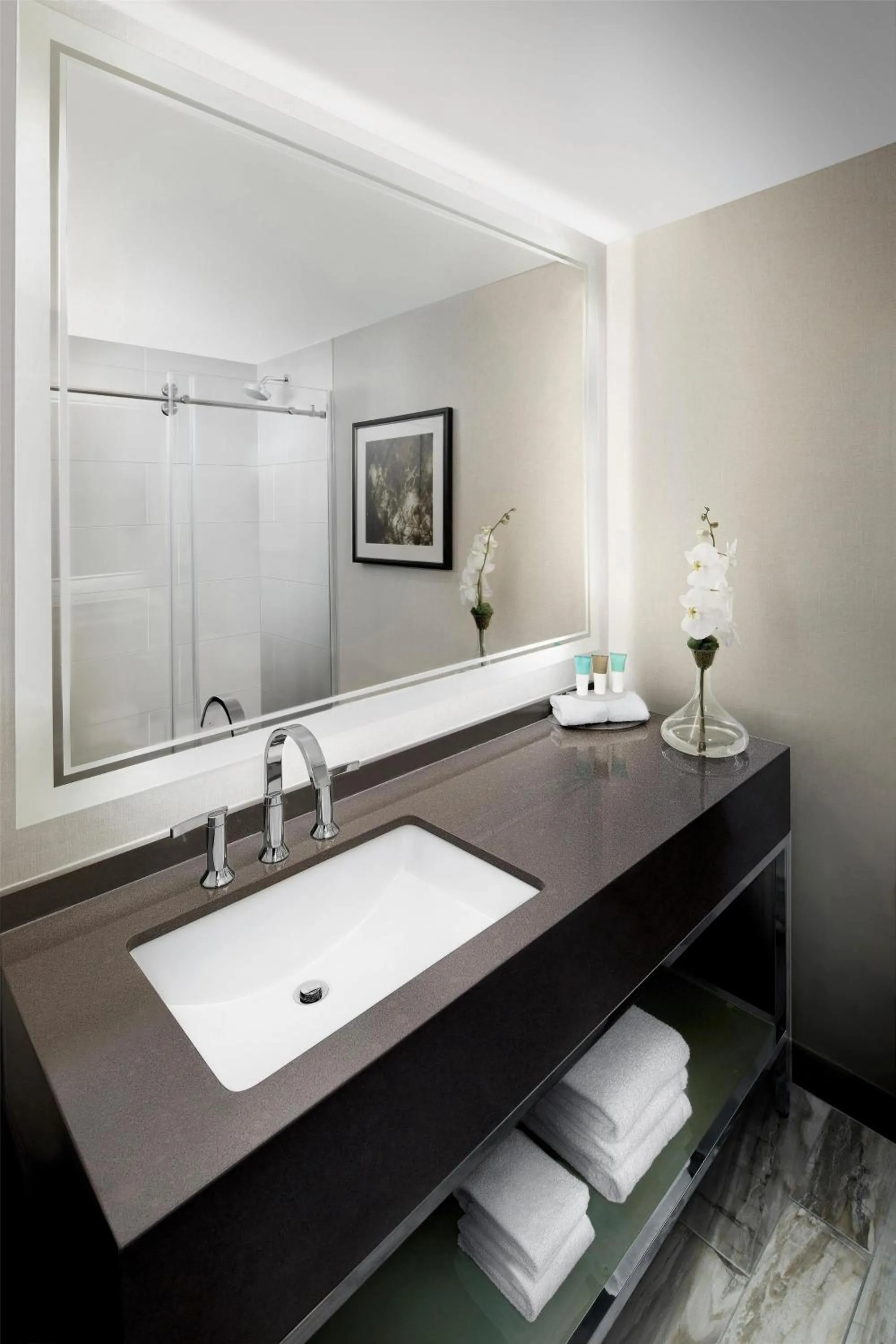 Bathroom in Hyatt Regency Savannah