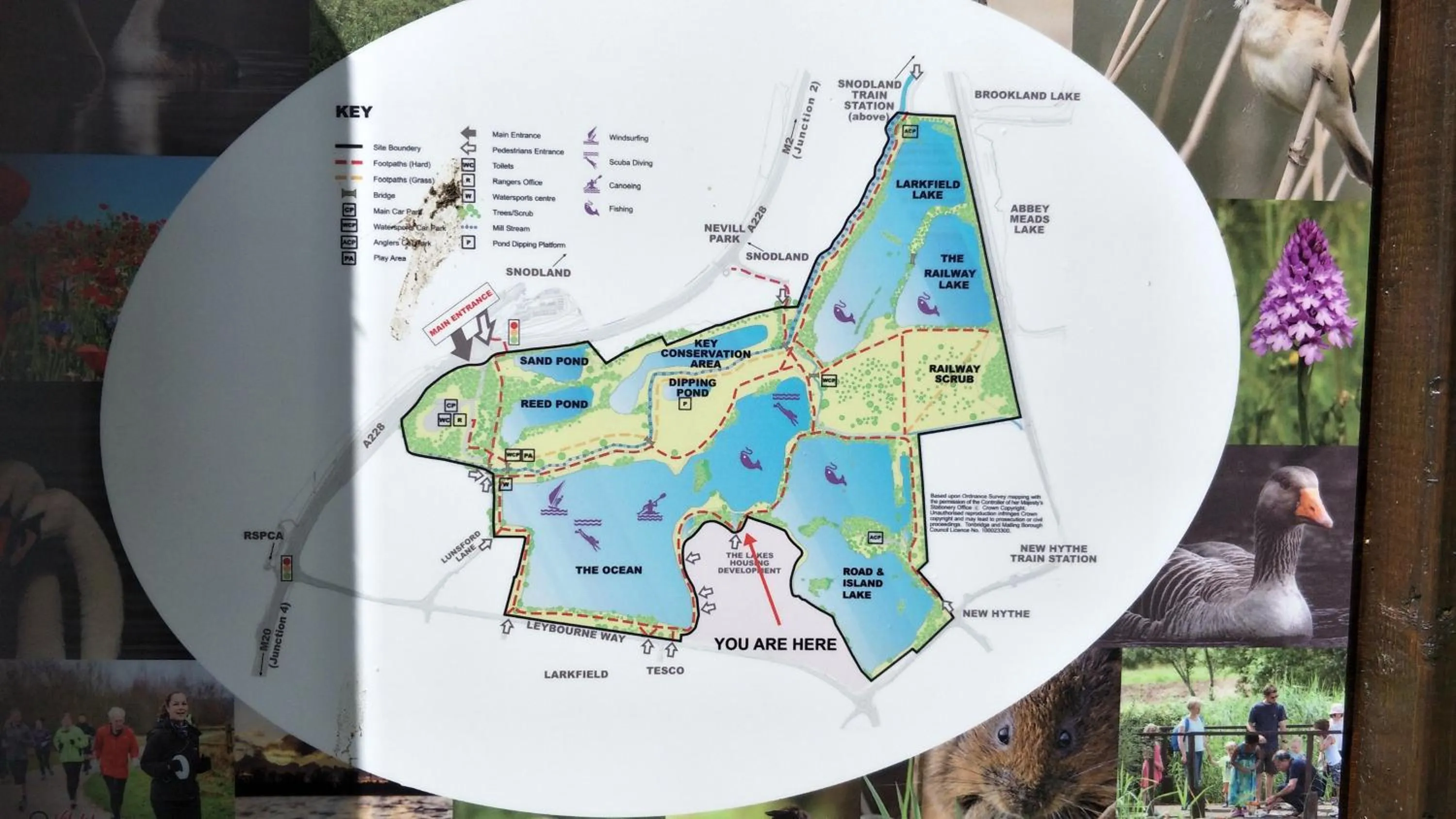 Location in Mallard Cottage Guest House