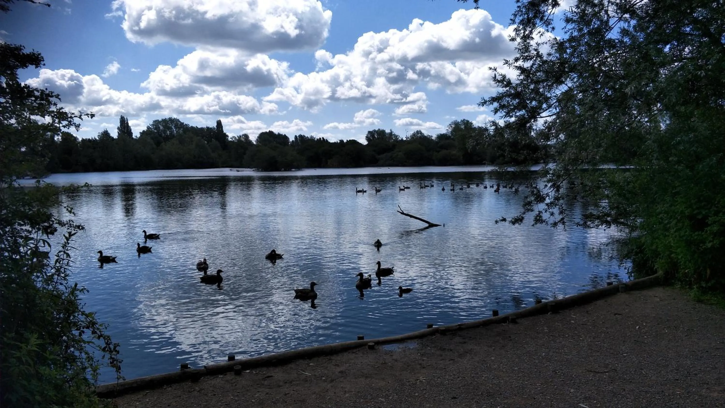 Natural landscape in Mallard Cottage Guest House