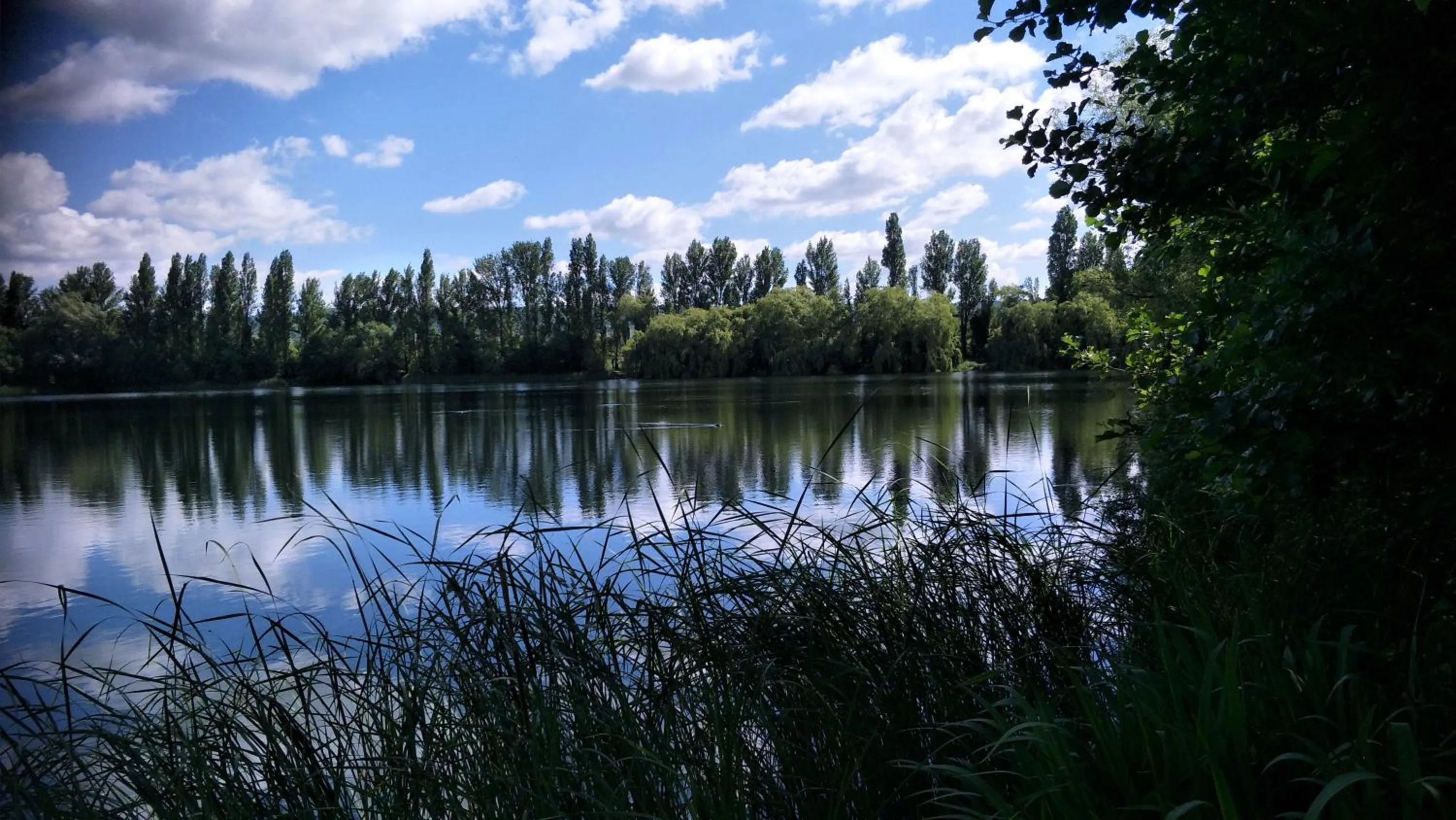 Lake view in Mallard Cottage Guest House