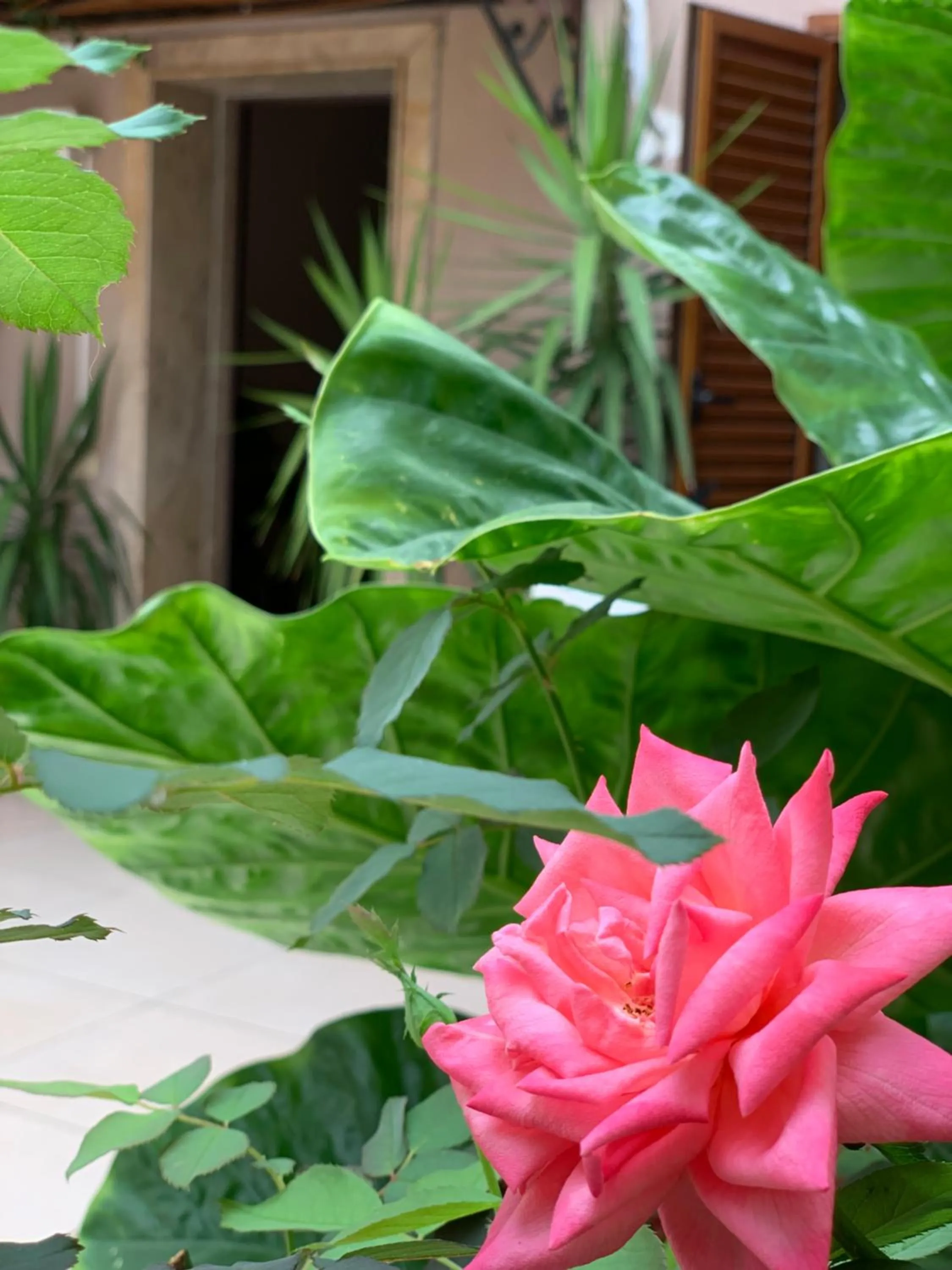 Facade/entrance in Old Town Villa