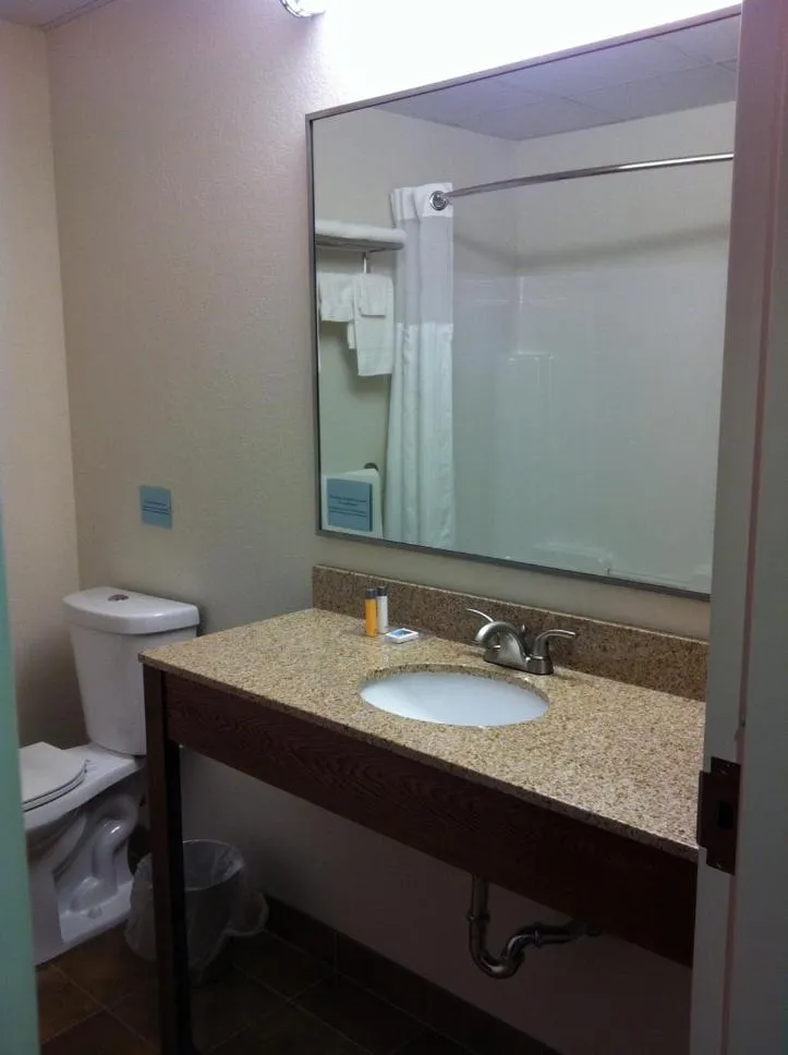 Bathroom in Pleasant Night Inn- carthage NY