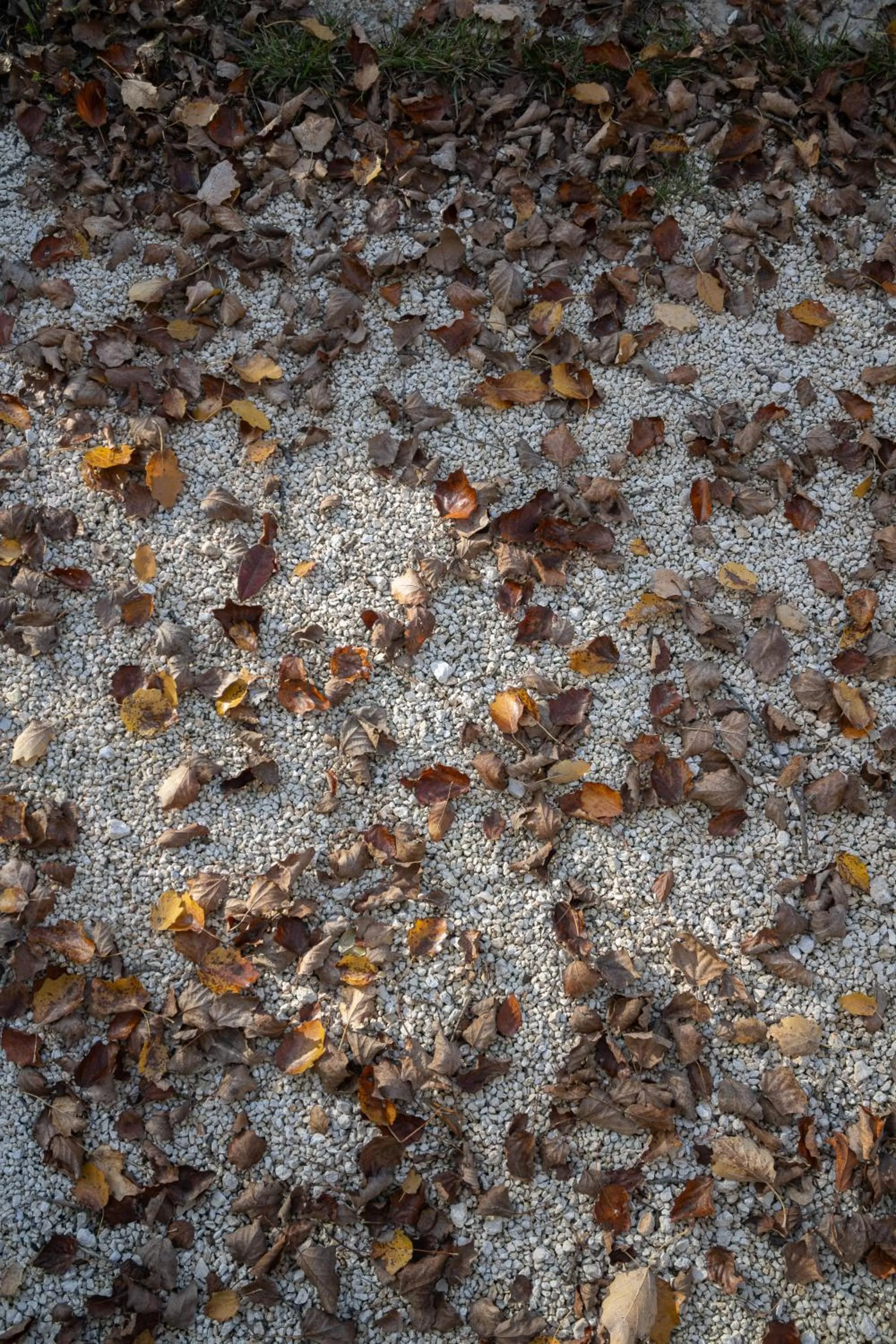 Day in Villa Ada-Trulli Puglia