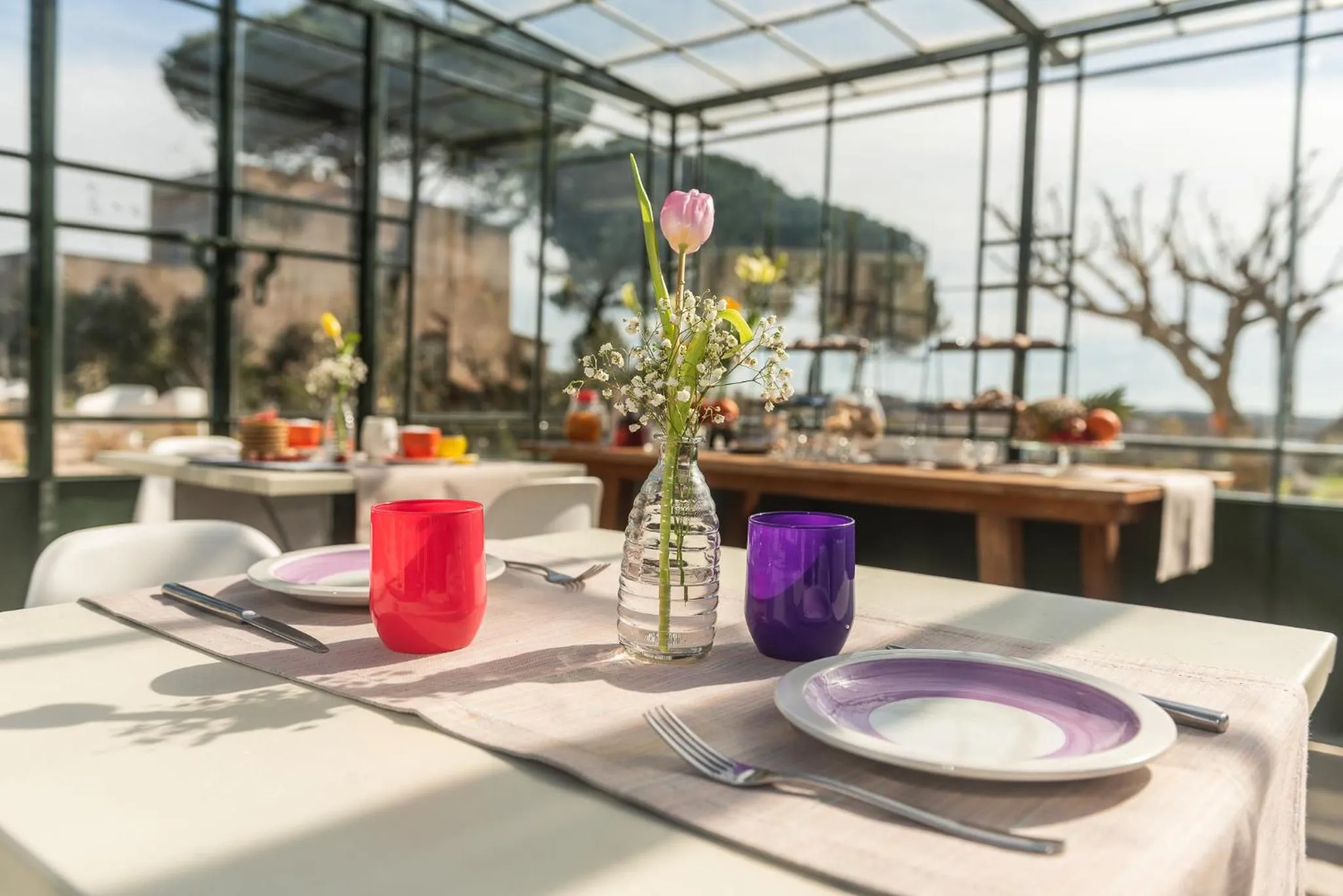 Garden in Villa Ada-Trulli Puglia