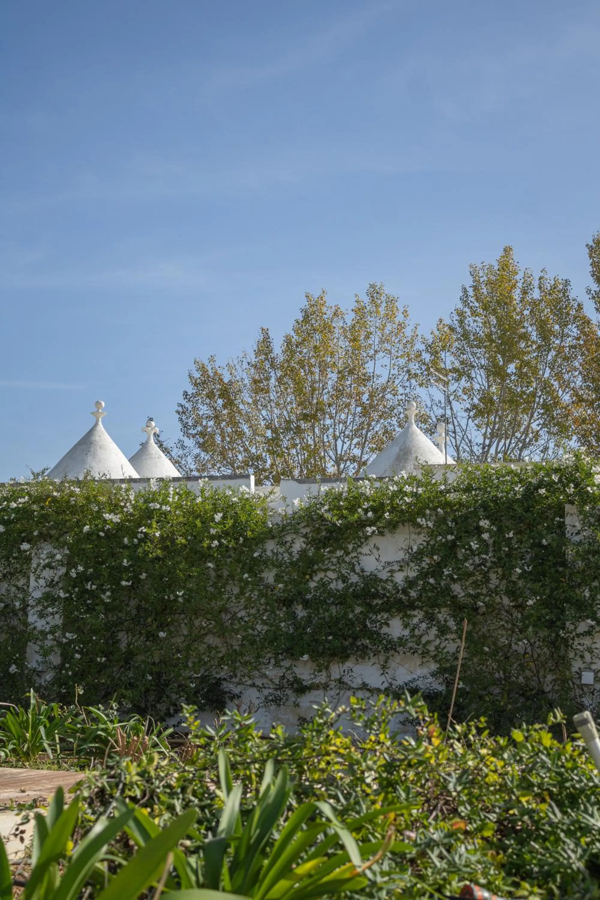 Property building in Villa Ada-Trulli Puglia