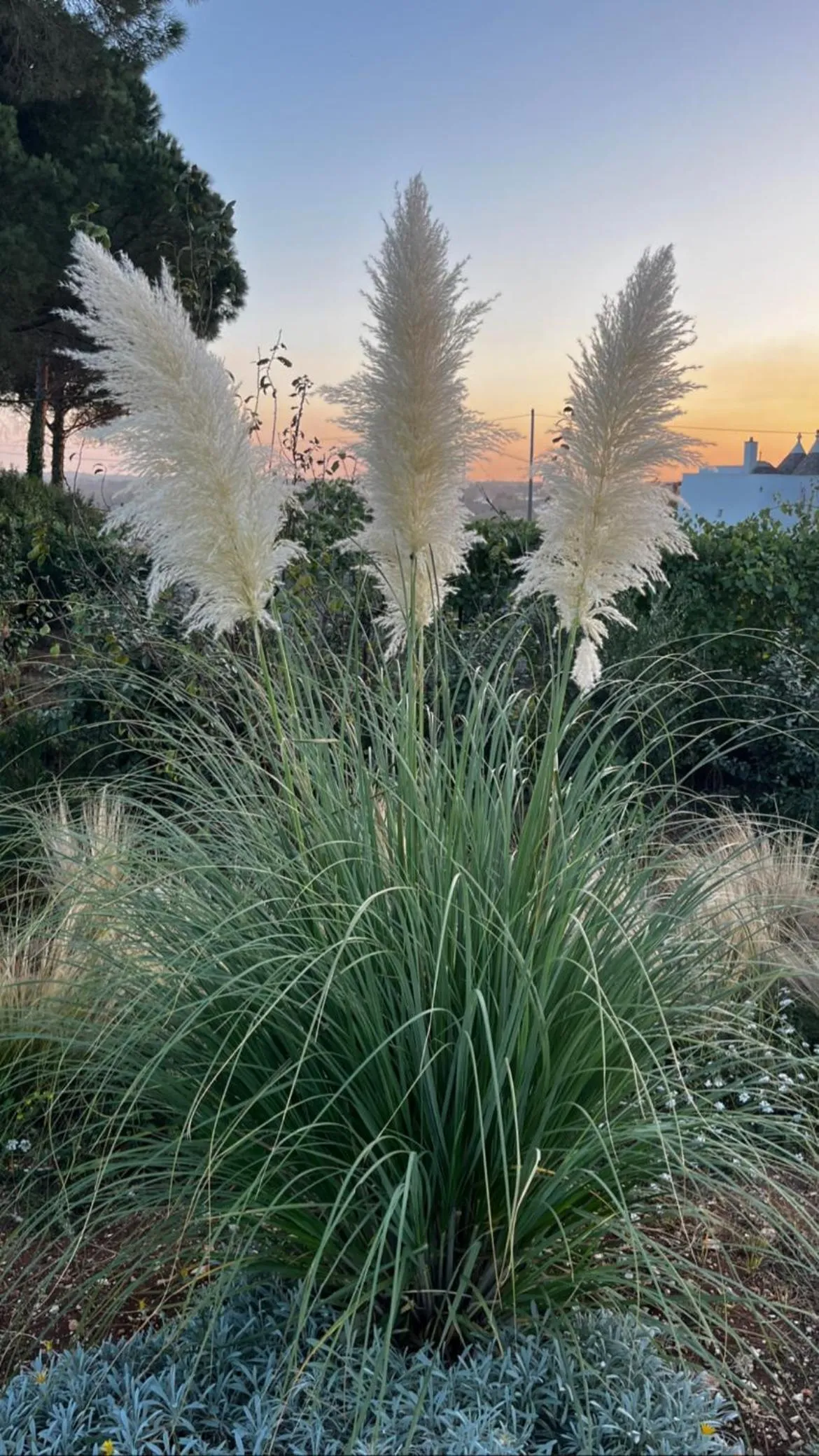 Day in Villa Ada-Trulli Puglia