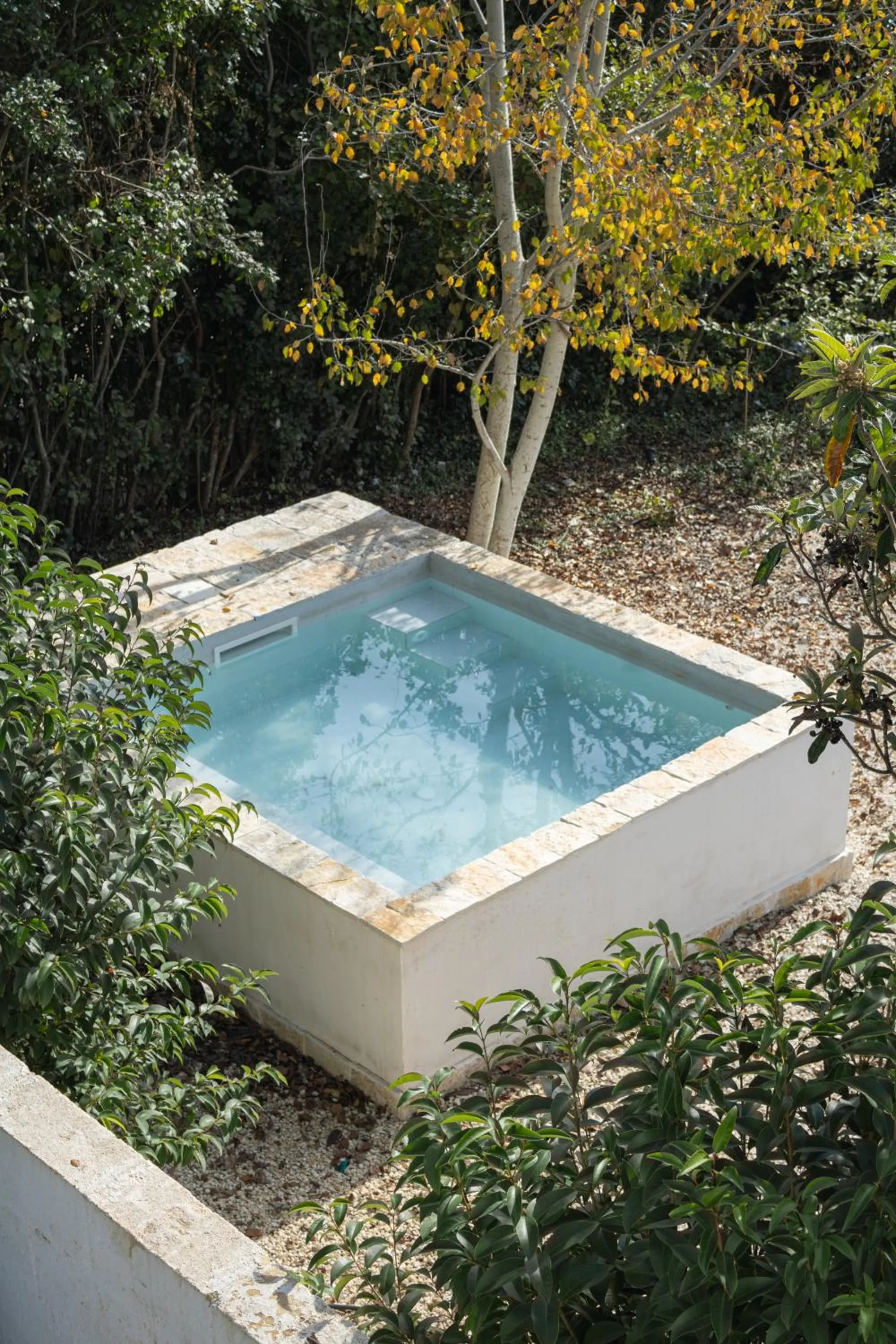 Day in Villa Ada-Trulli Puglia