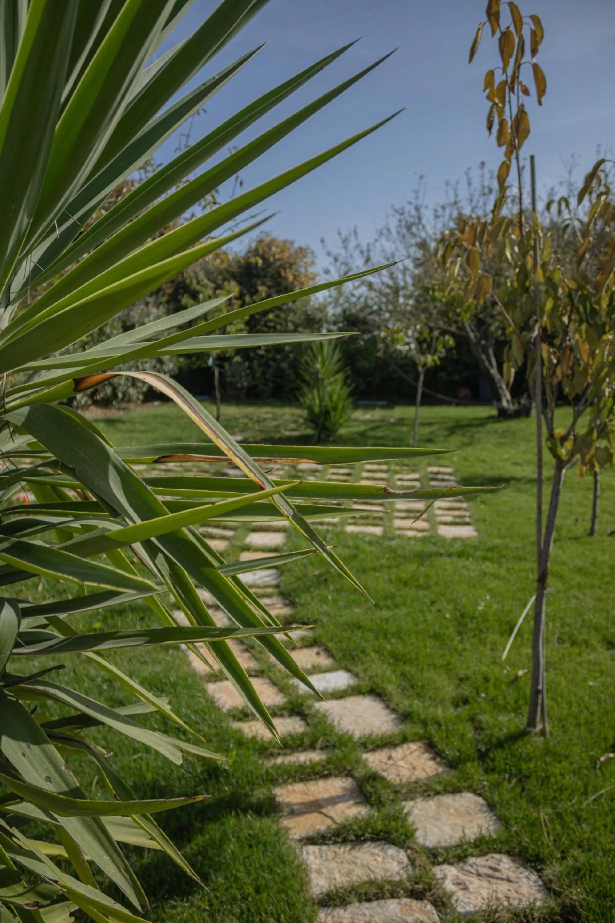 Garden in Villa Ada-Trulli Puglia