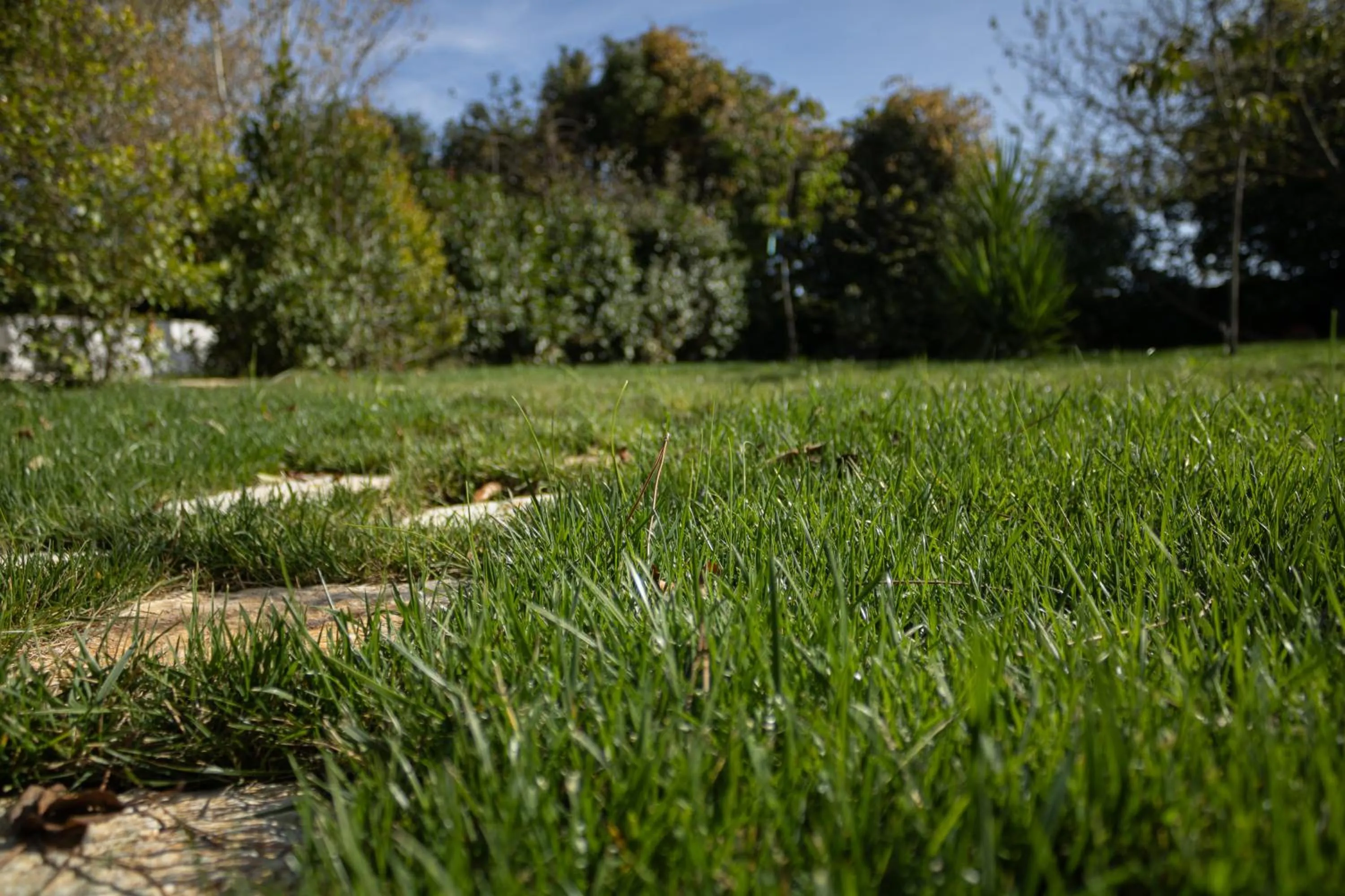 Spring in Villa Ada-Trulli Puglia