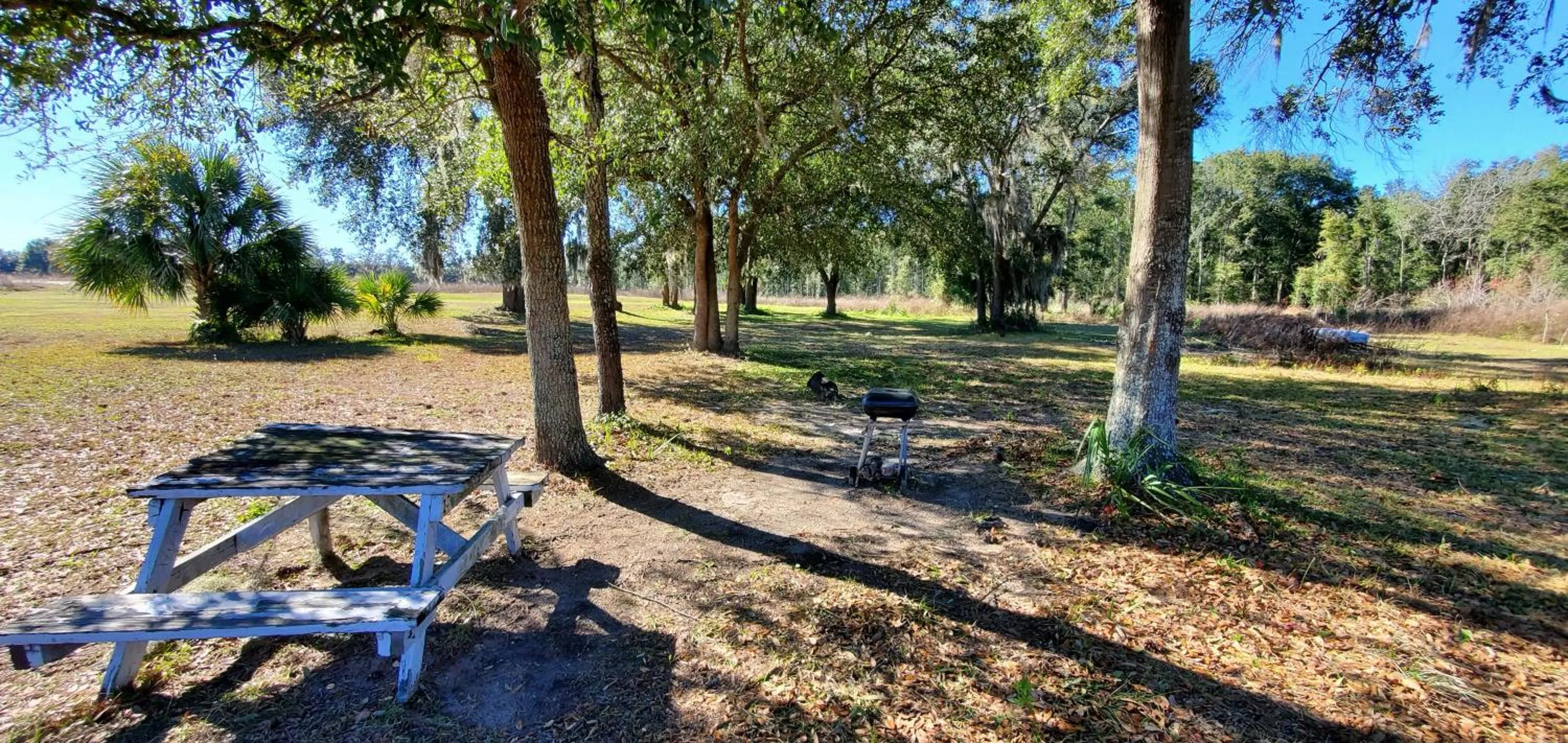 Garden in Quality Inn White Springs Suwanee